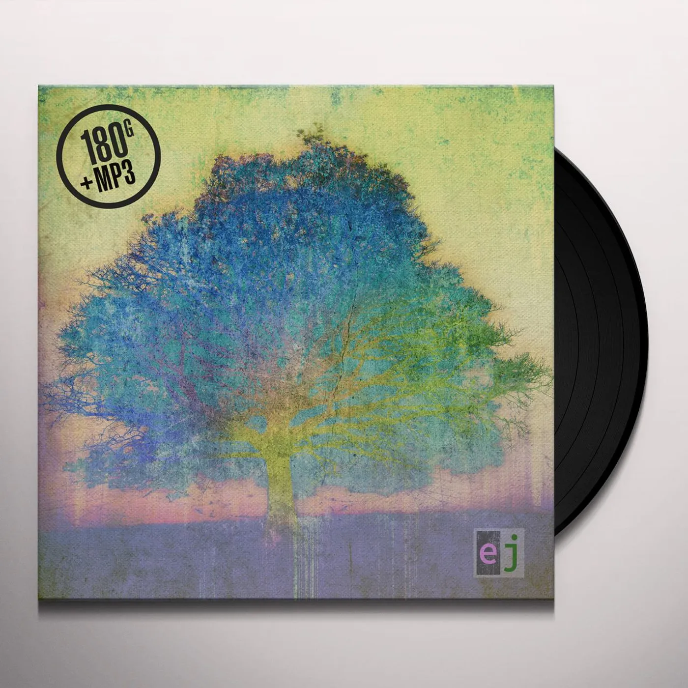 Eric Johnson EJ Vinyl Record