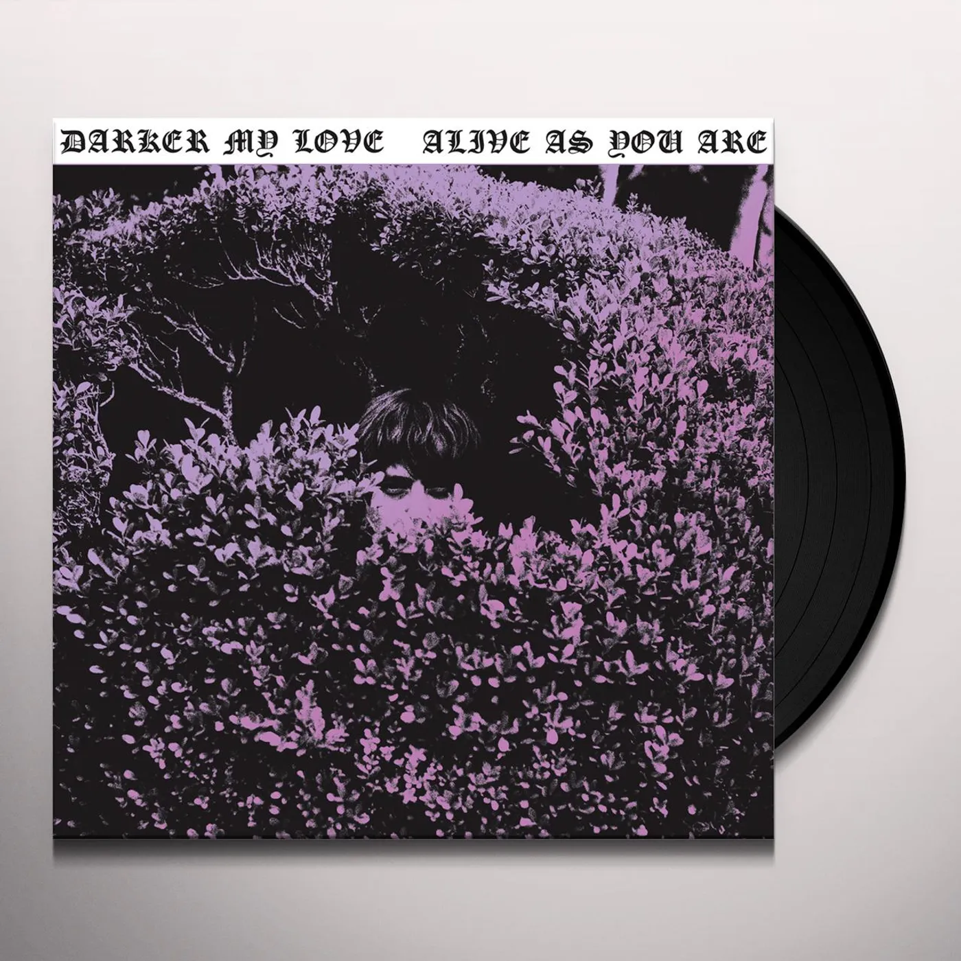 Darker My Love Alive as You Are Vinyl Record