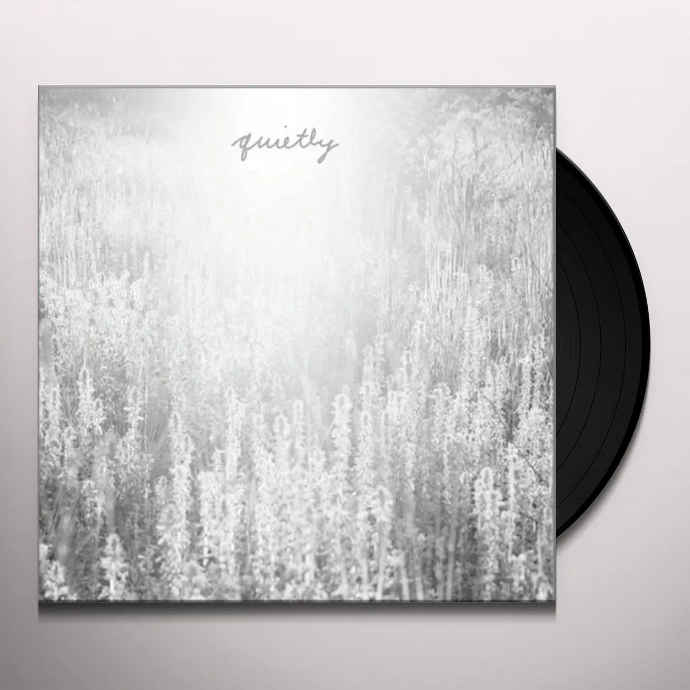 Mouth Of The Architect Quietly Vinyl Record