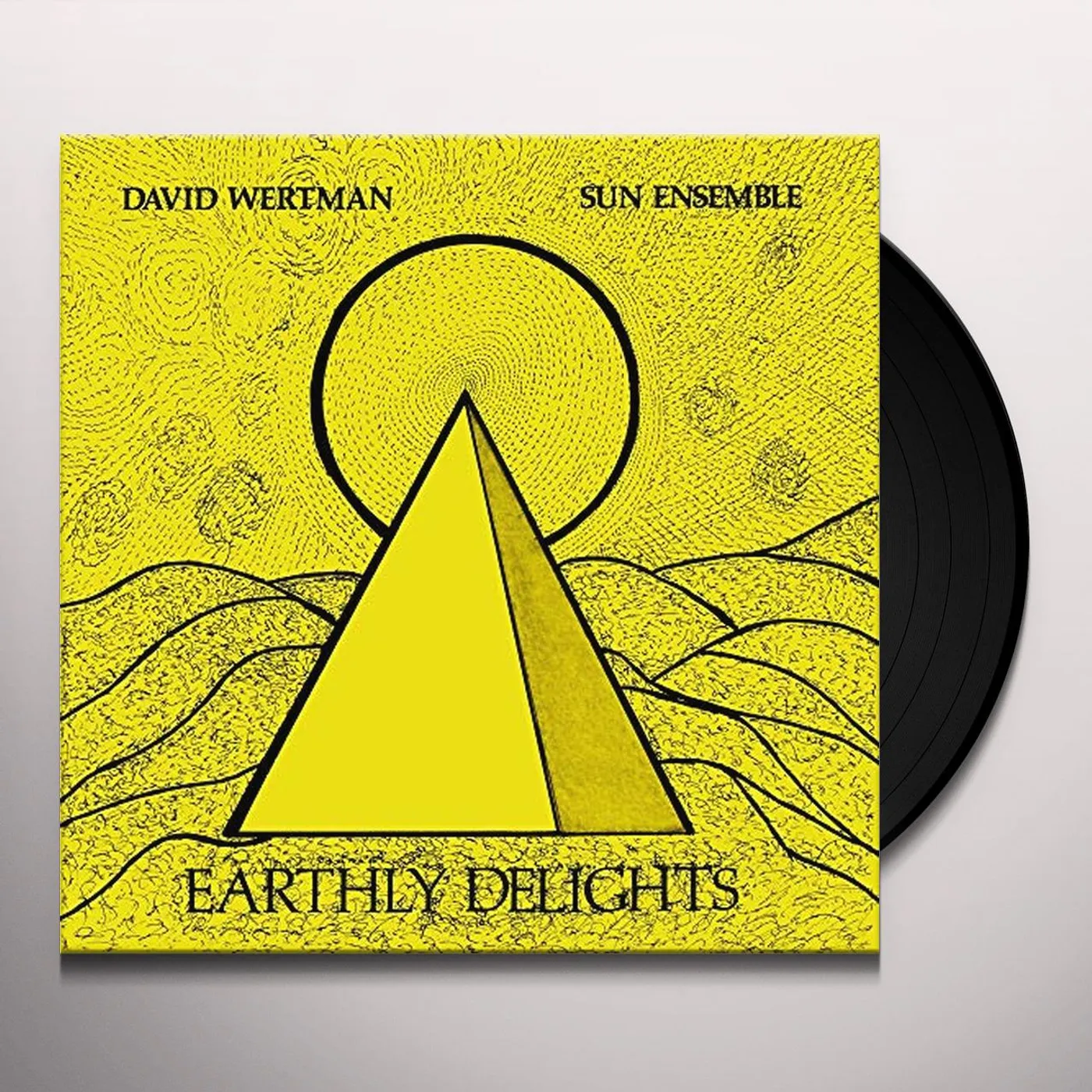 David Wertman & Sun Ensemble EARTHLY DELIGHTS Vinyl Record