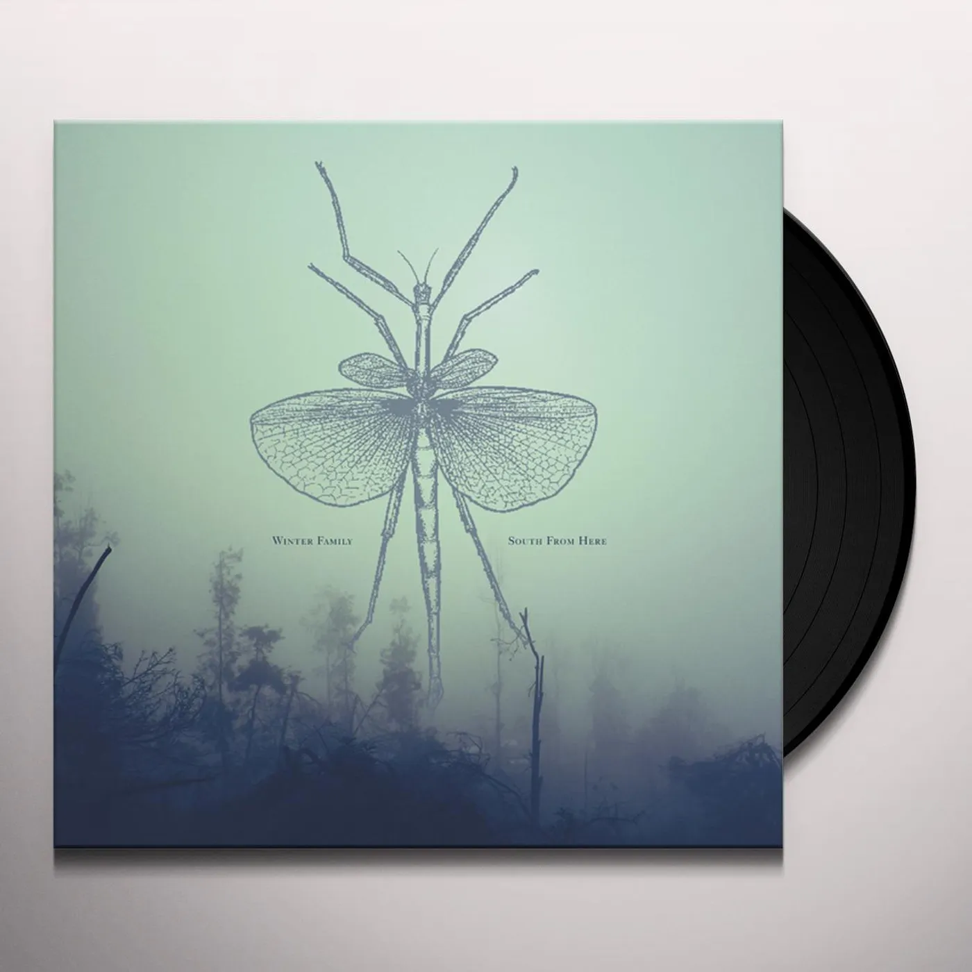 Winter Family South from Here Vinyl Record
