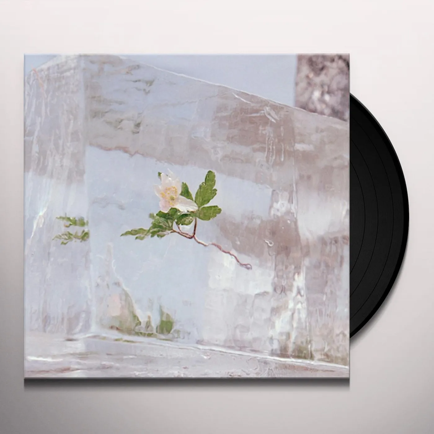 Efterklang WINDFLOWERS (CLEAR VINYL/140G) Vinyl Record