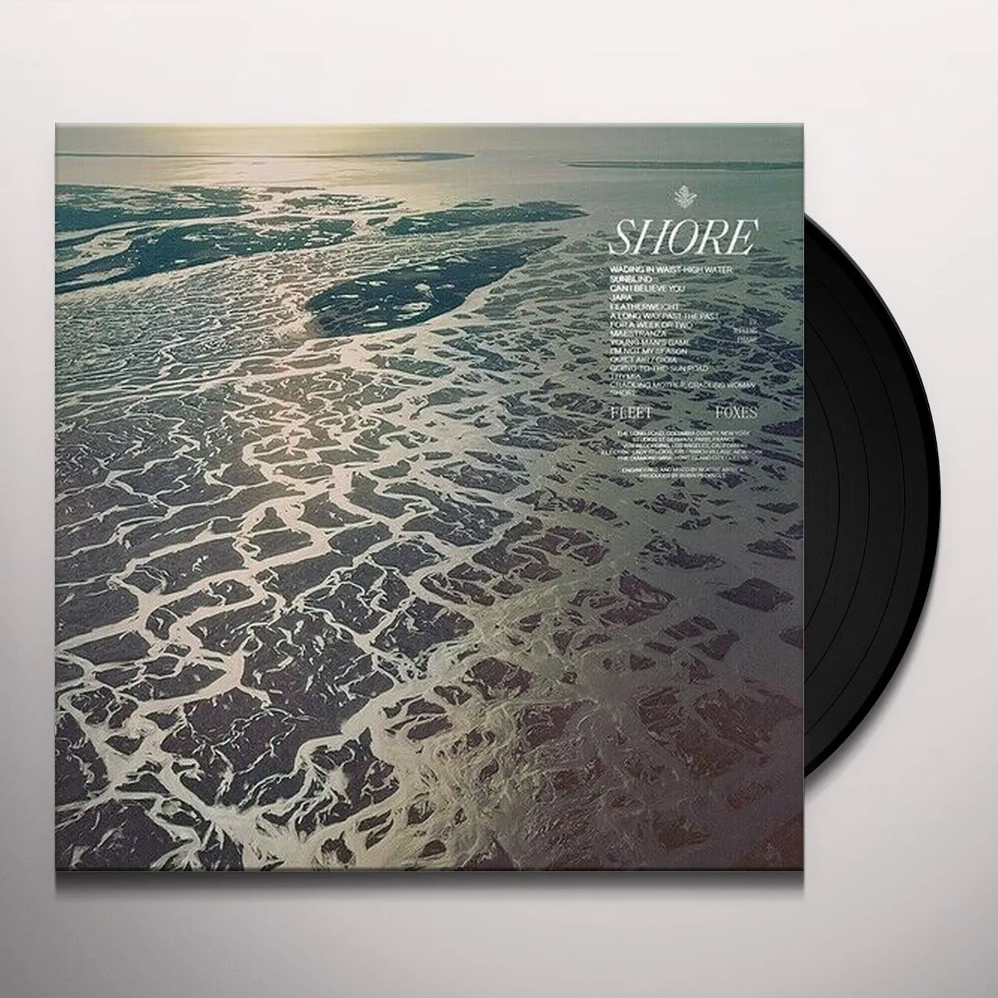 Fleet Foxes SHORE (OCEAN BLUE SWIRL VINYL) Vinyl Record