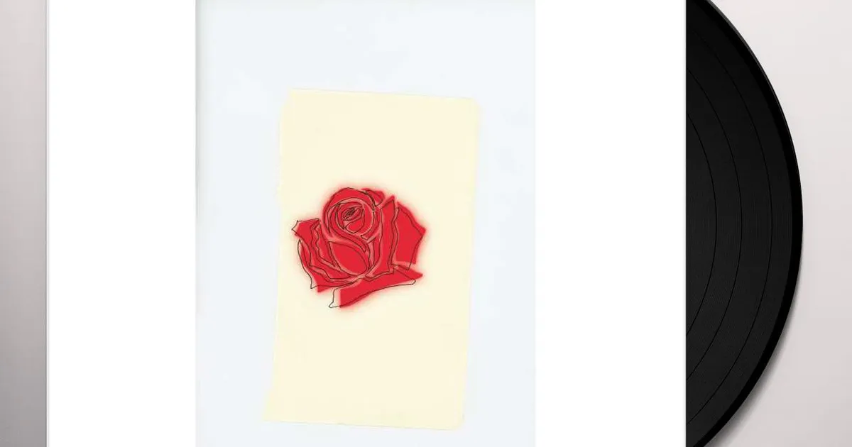 LANY Vinyl Record