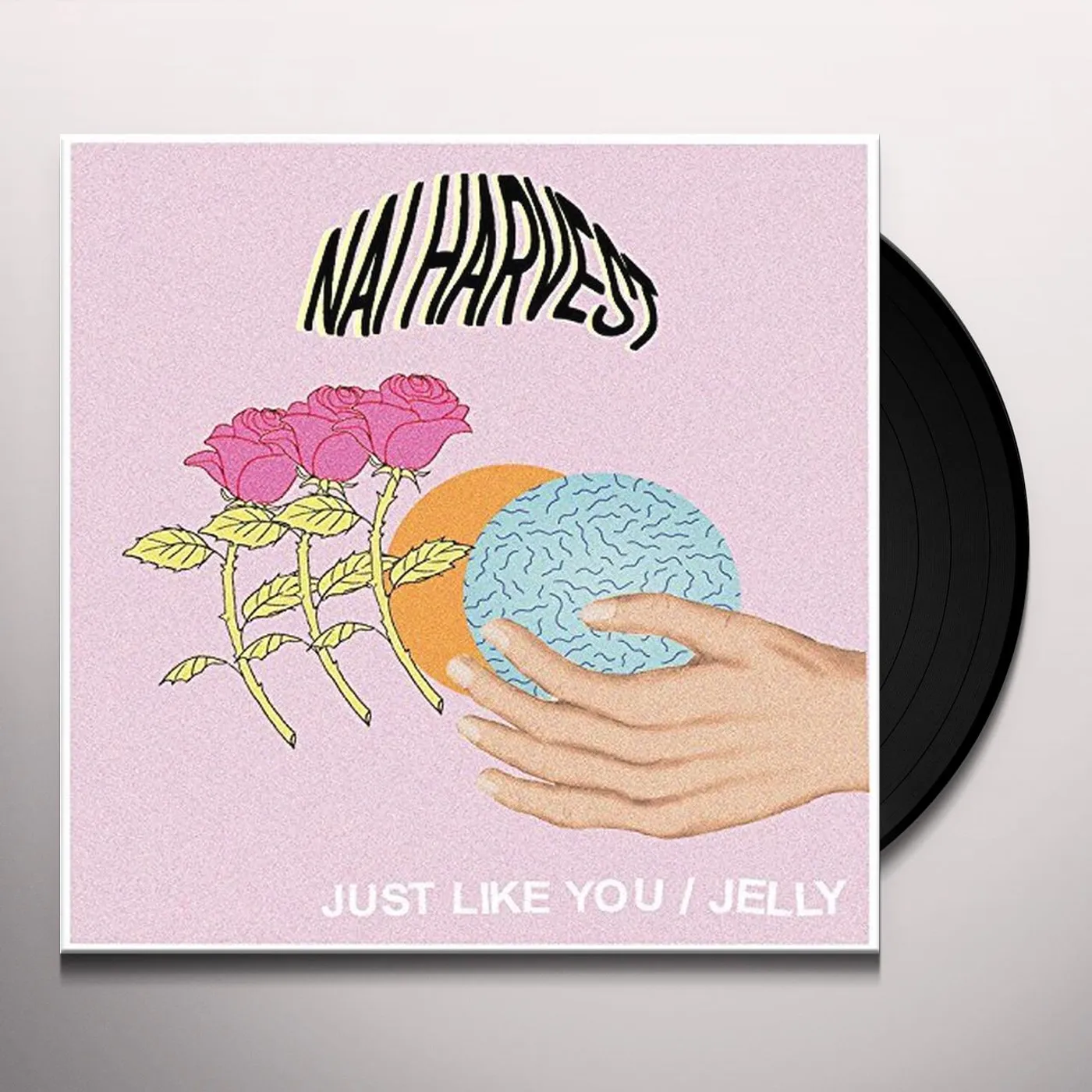 Nai Harvest Just Like You Vinyl Record