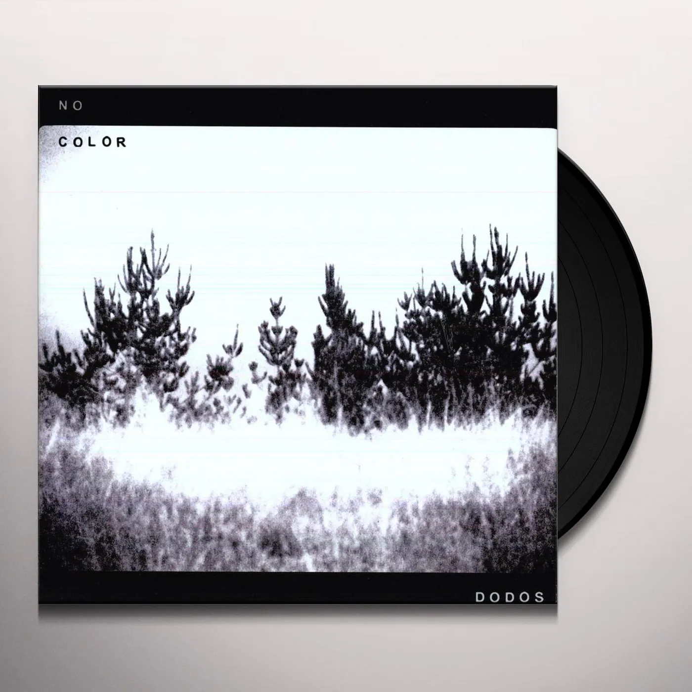Dodos No Color Vinyl Record