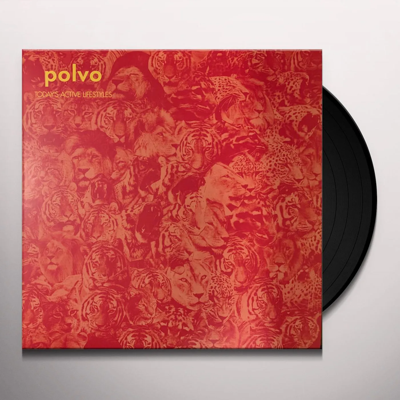 Polvo Today's Active Lifestyles Vinyl Record