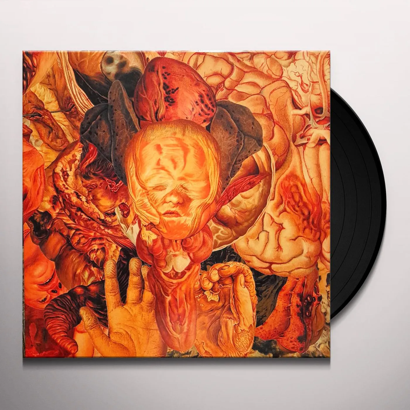 Festerdecay REALITY ROTTEN TO THE CORE Vinyl Record