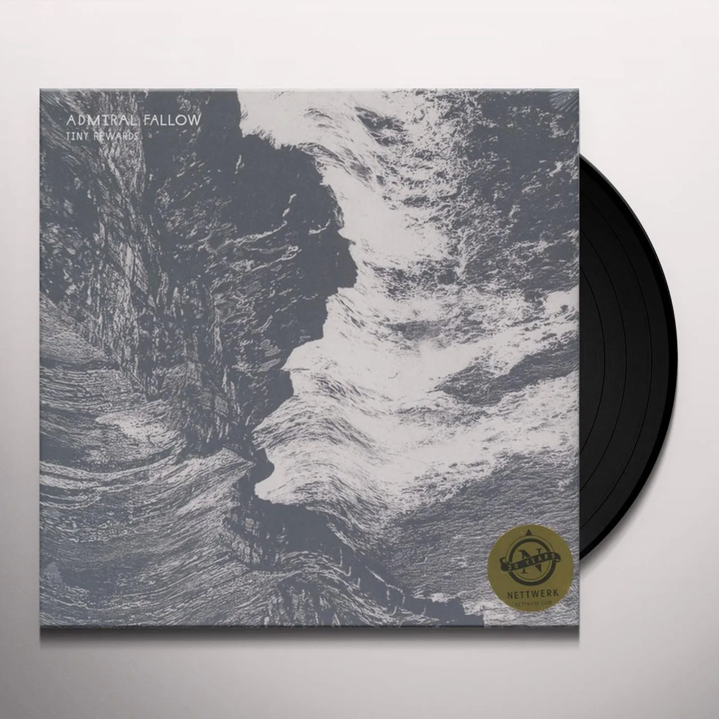 Admiral Fallow TINY REWARDS (DL CARD) Vinyl Record