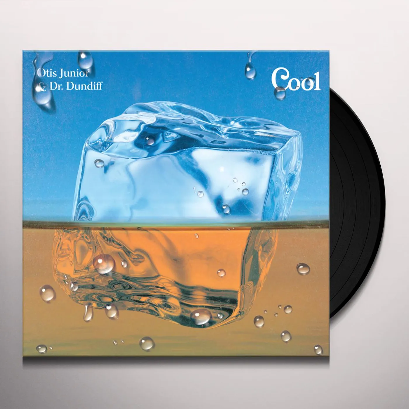 Dr. Dundiff Cool Vinyl Record