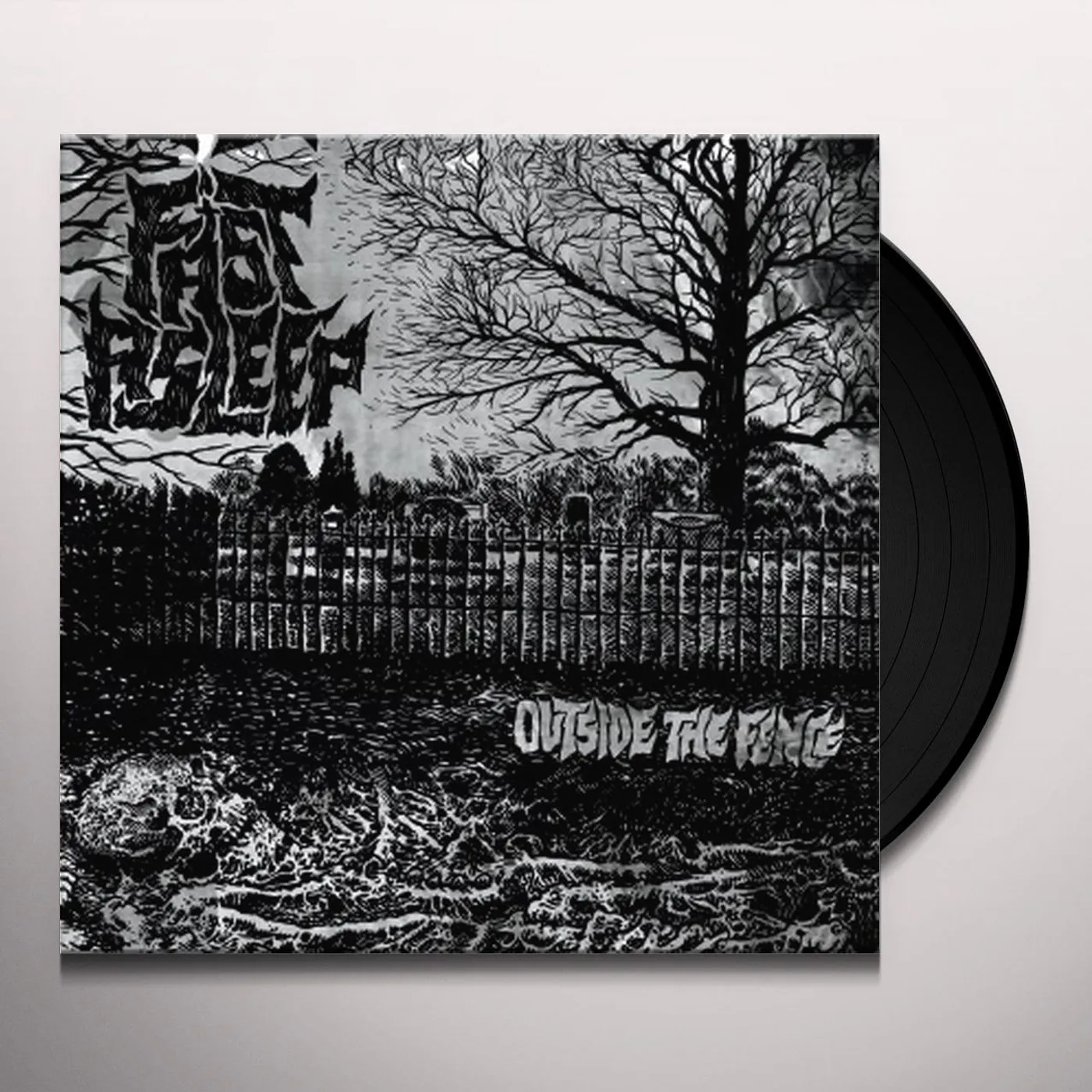 Fast Asleep Outside the Fence Vinyl Record