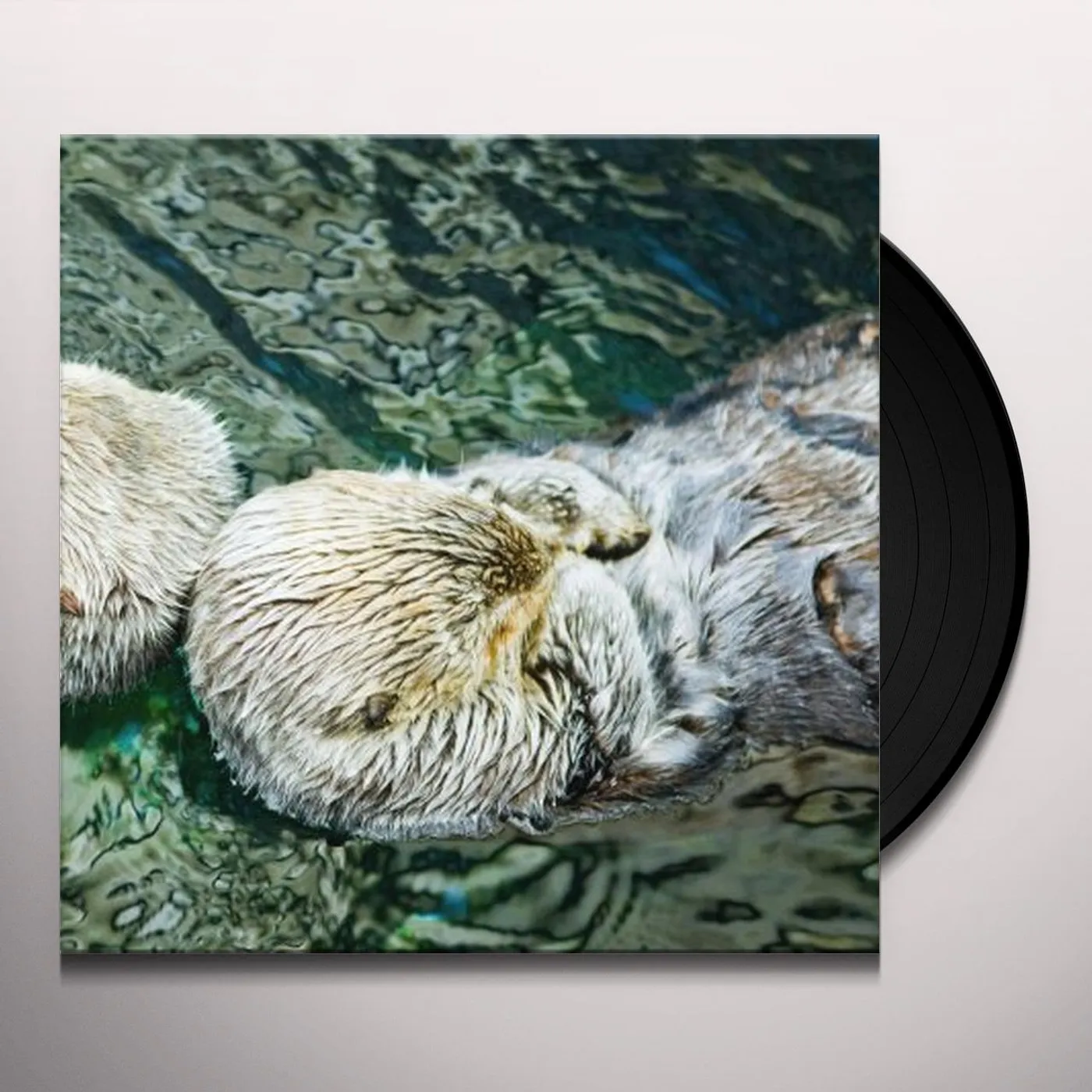 Twerk Otter Vinyl Record