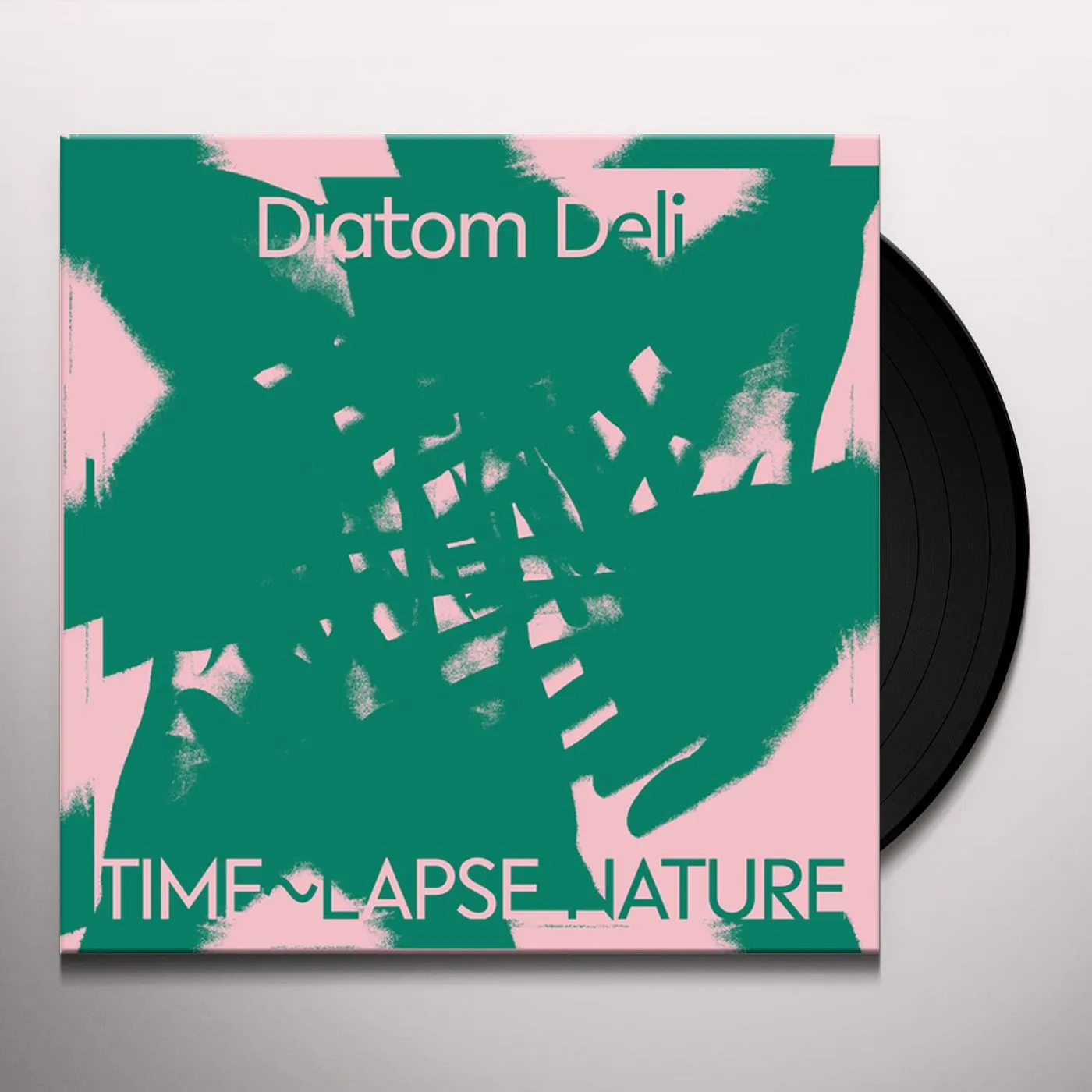 Diatom Deli Time~Lapse Nature Vinyl Record