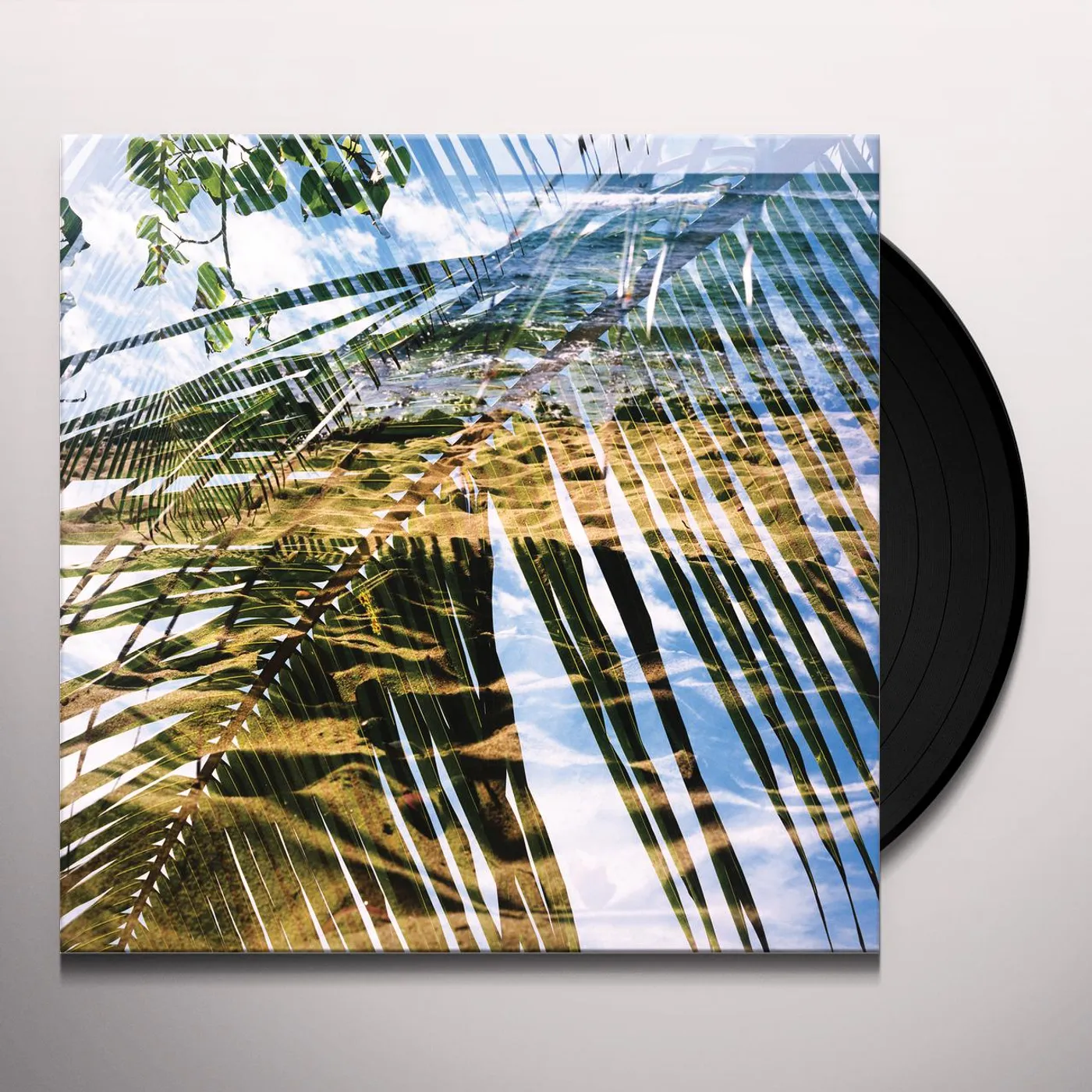 DOGS ON ACID Vinyl Record