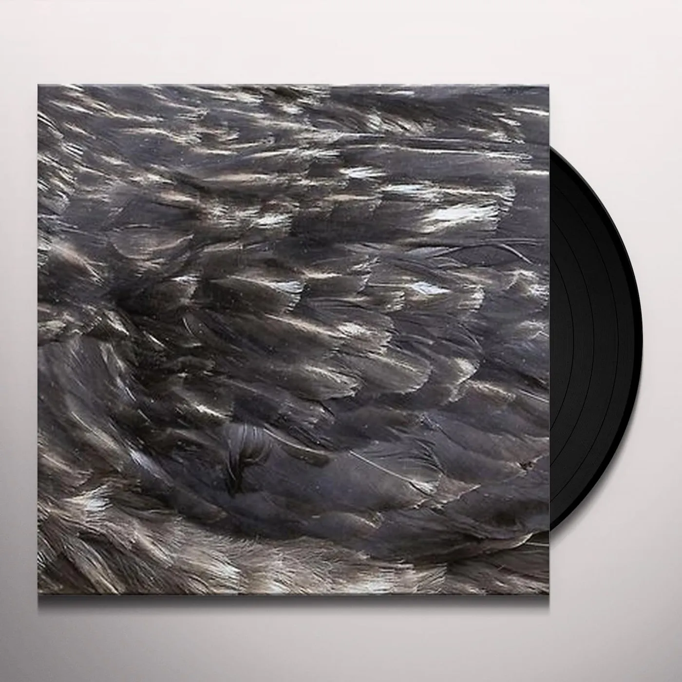 ARSTIDIR Vinyl Record
