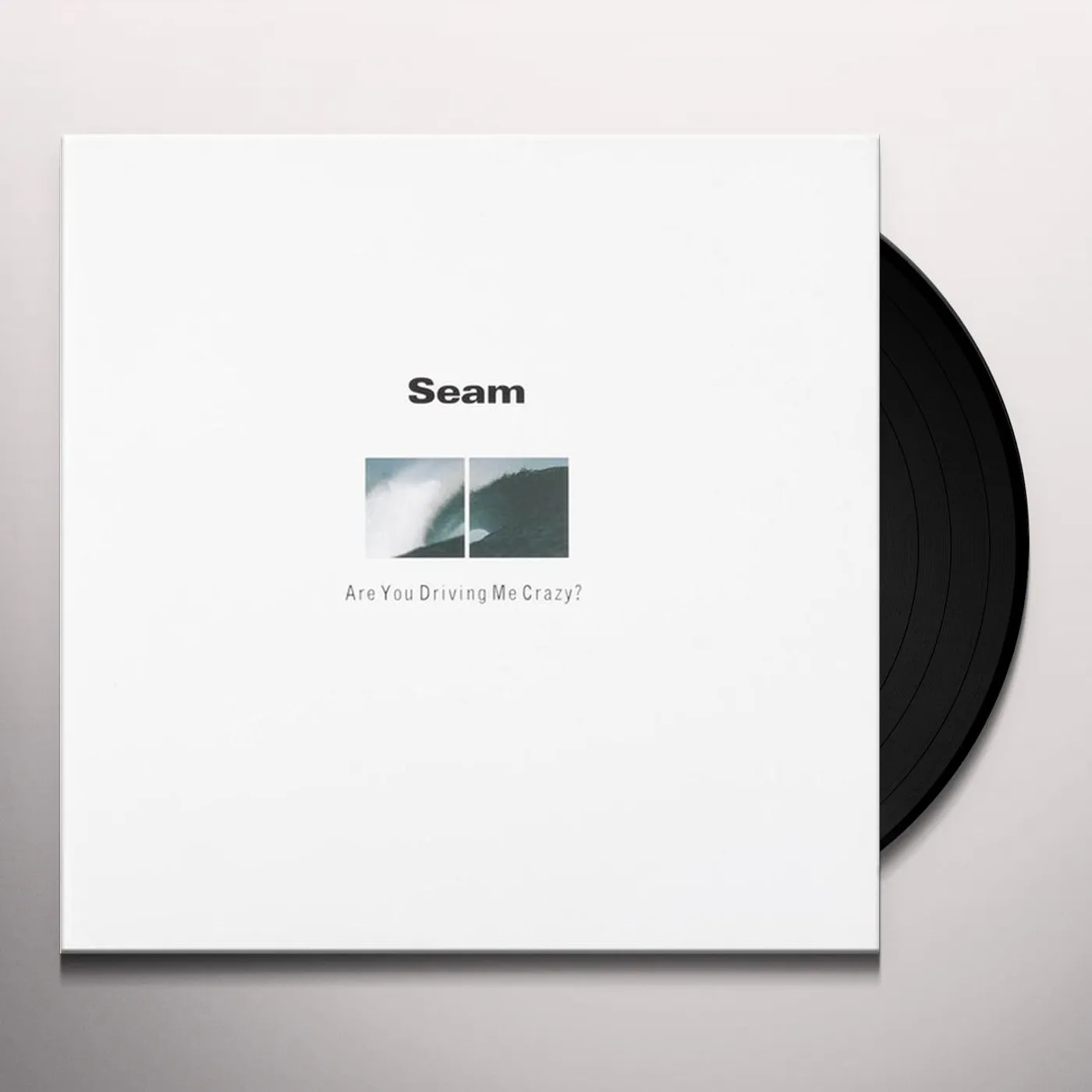 Seam ARE YOU DRIVING ME CRAZY Vinyl Record