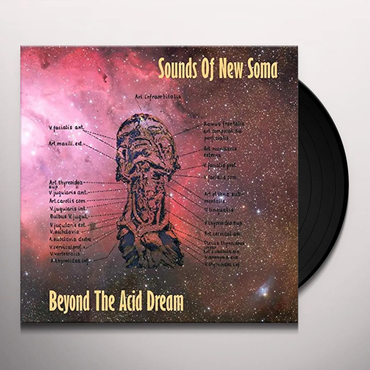 Sounds Of New Soma BEYOND THE ACID DREAM Vinyl Record