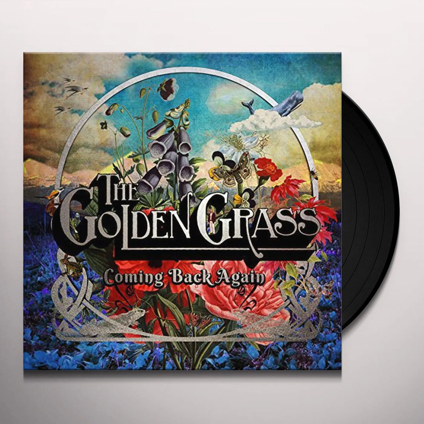 Golden Grass Coming Back Again Vinyl Record