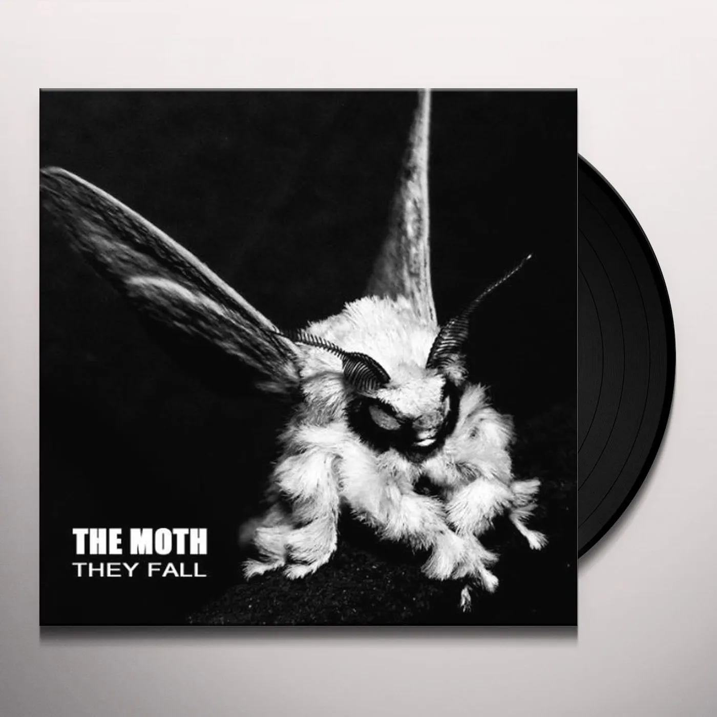 Moth They Fall Vinyl Record