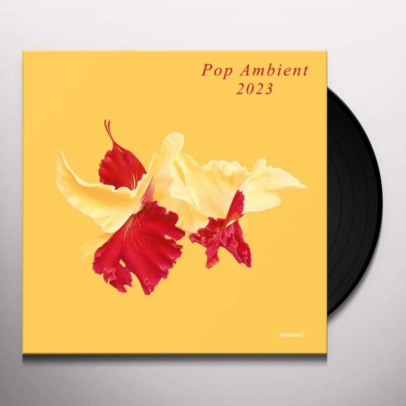 Various Artists  Pop Ambient 2023 Vinyl Record