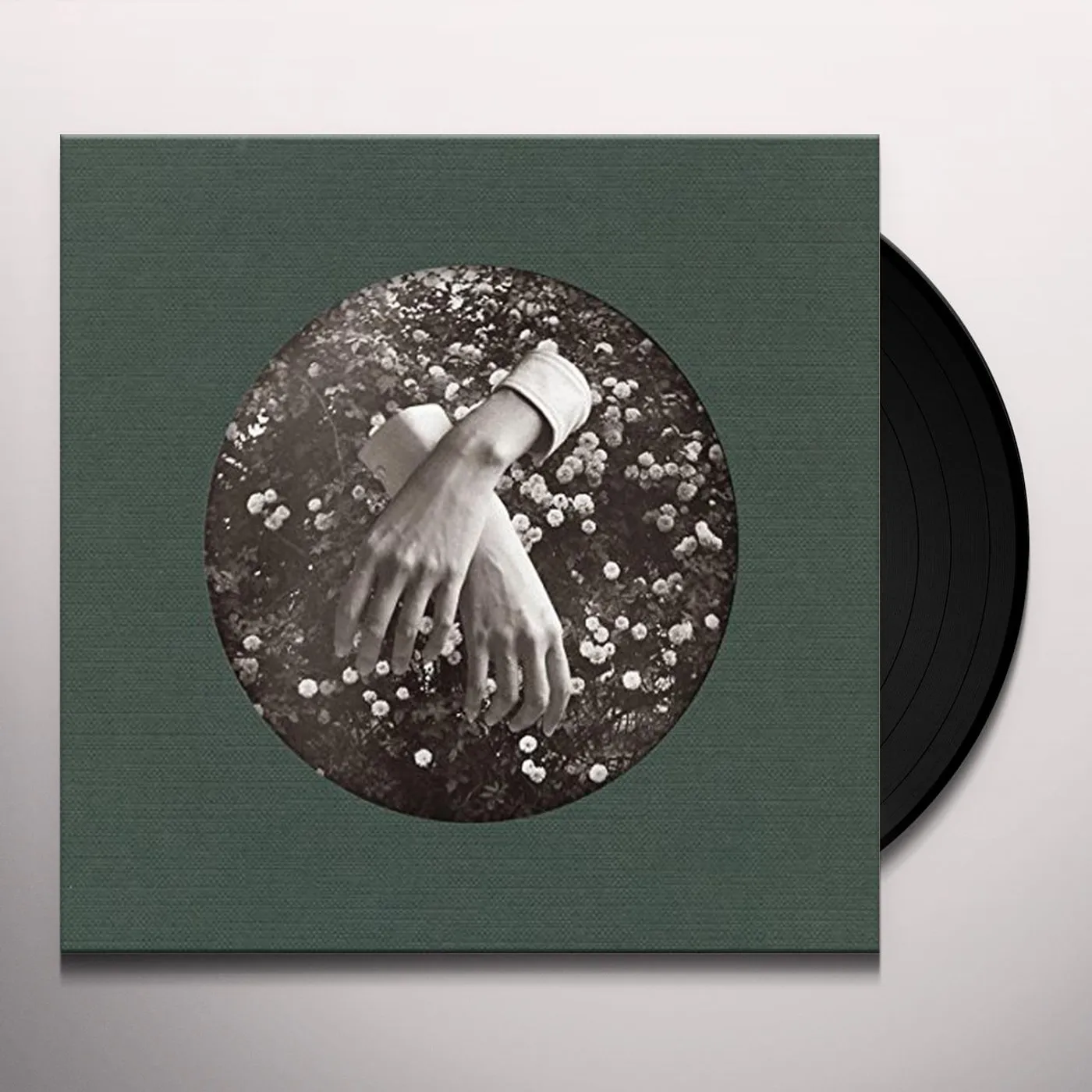 aspidistrafly A LITTLE FABLE Vinyl Record