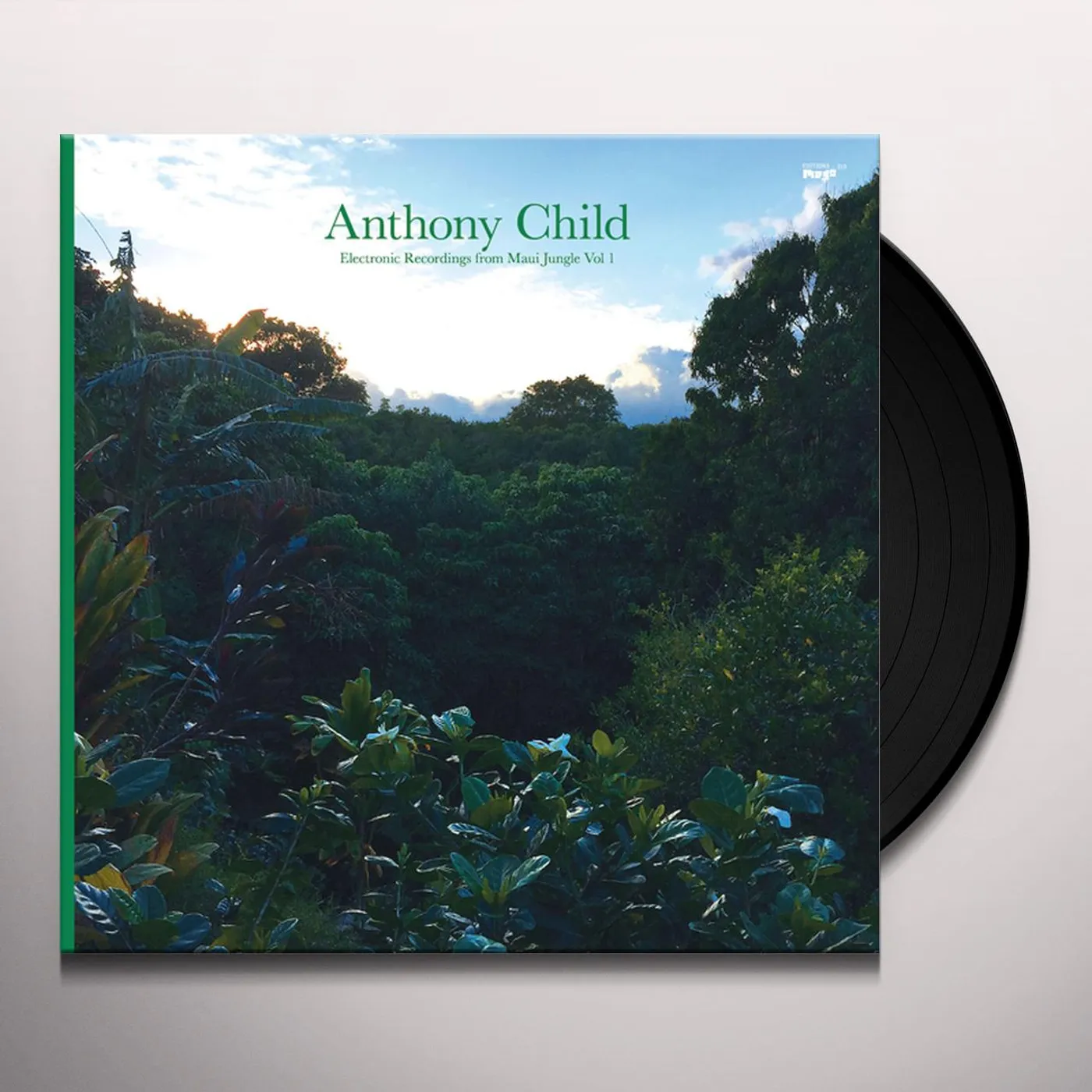Anthony Child ELECTRONIC RECORDINGS FROM MAUI JUNGLE 1 Vinyl Record