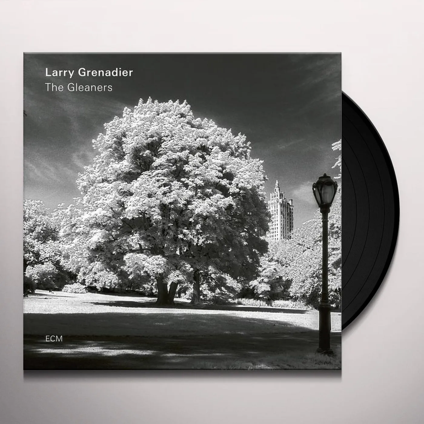 Larry Grenadier GLEANERS Vinyl Record