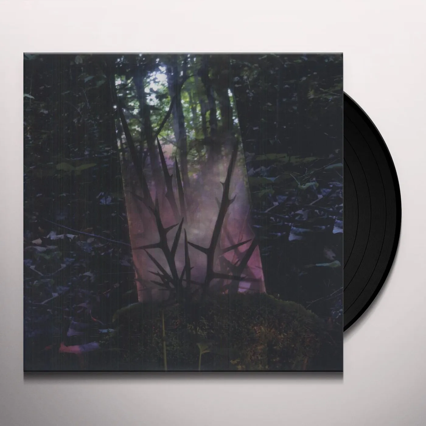 Jensen Sportag Stealth of Days Vinyl Record