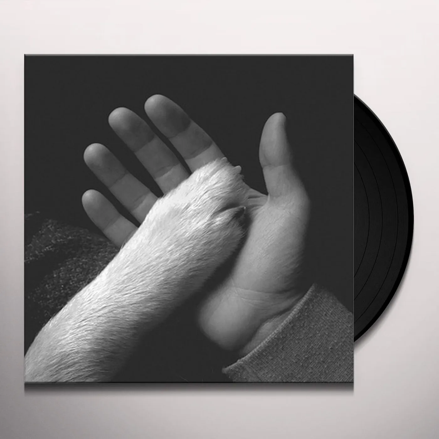 Jaws of Love. TASHA SITS CLOSE TO THE PIANO - Limited Edition Colored Vinyl Record
