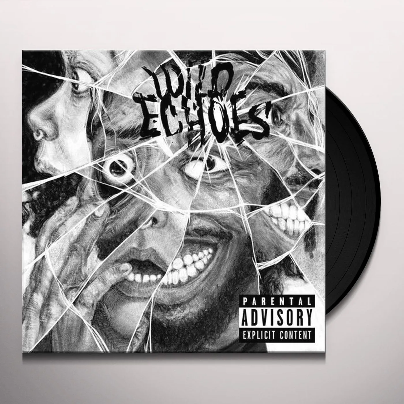 The Black Creatures Wild Echoes Vinyl Record