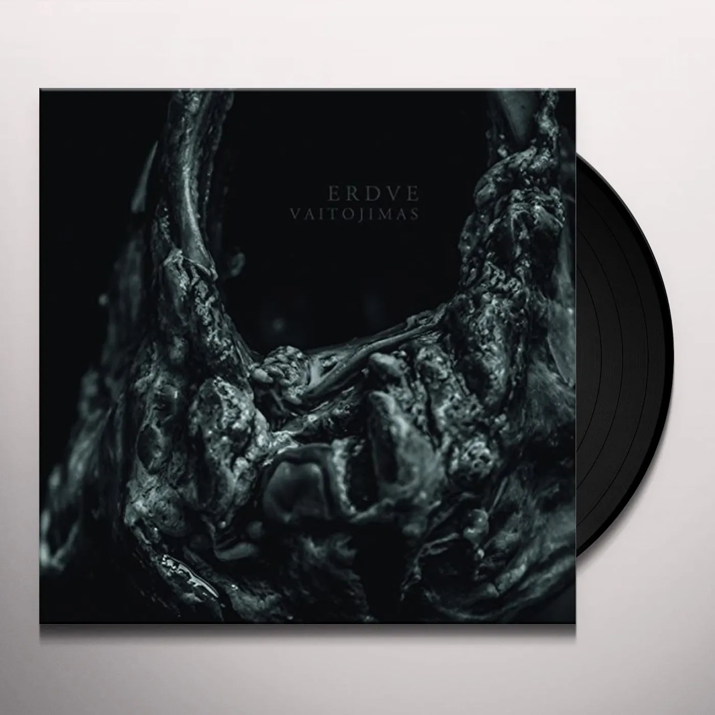 Erdve Vaitojimas Vinyl Record