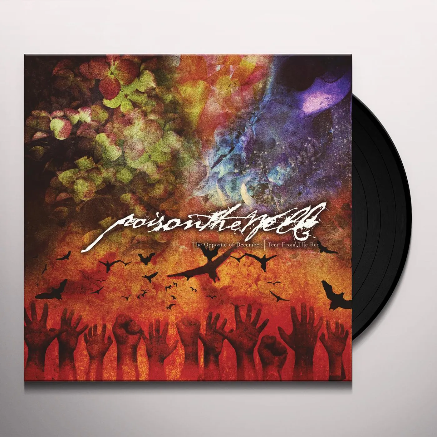 Poison The Well OPPOSITE OF DECEMBER / TEAR FROM THE RED Vinyl Record
