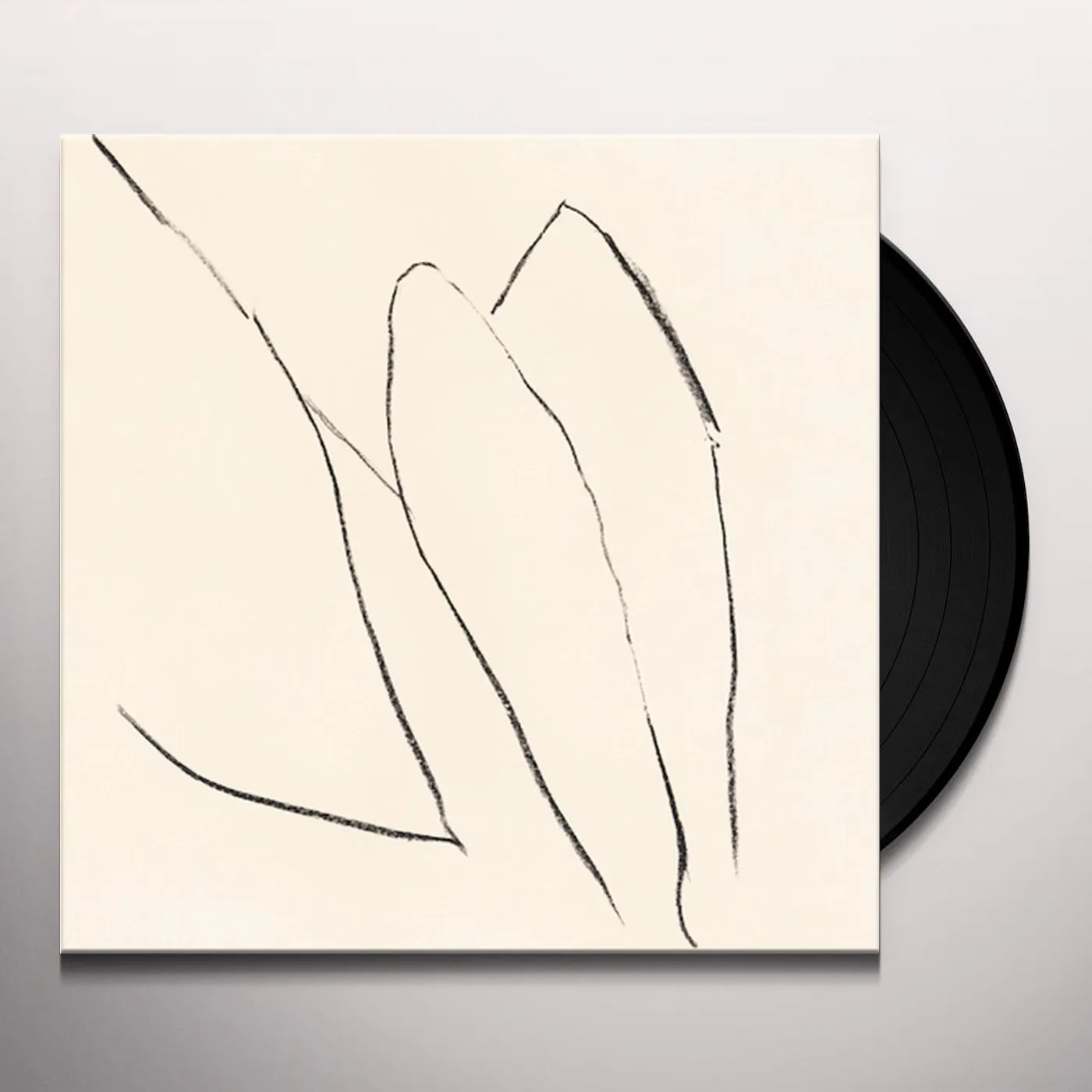 Jon Porras Voices of the Air Vinyl Record