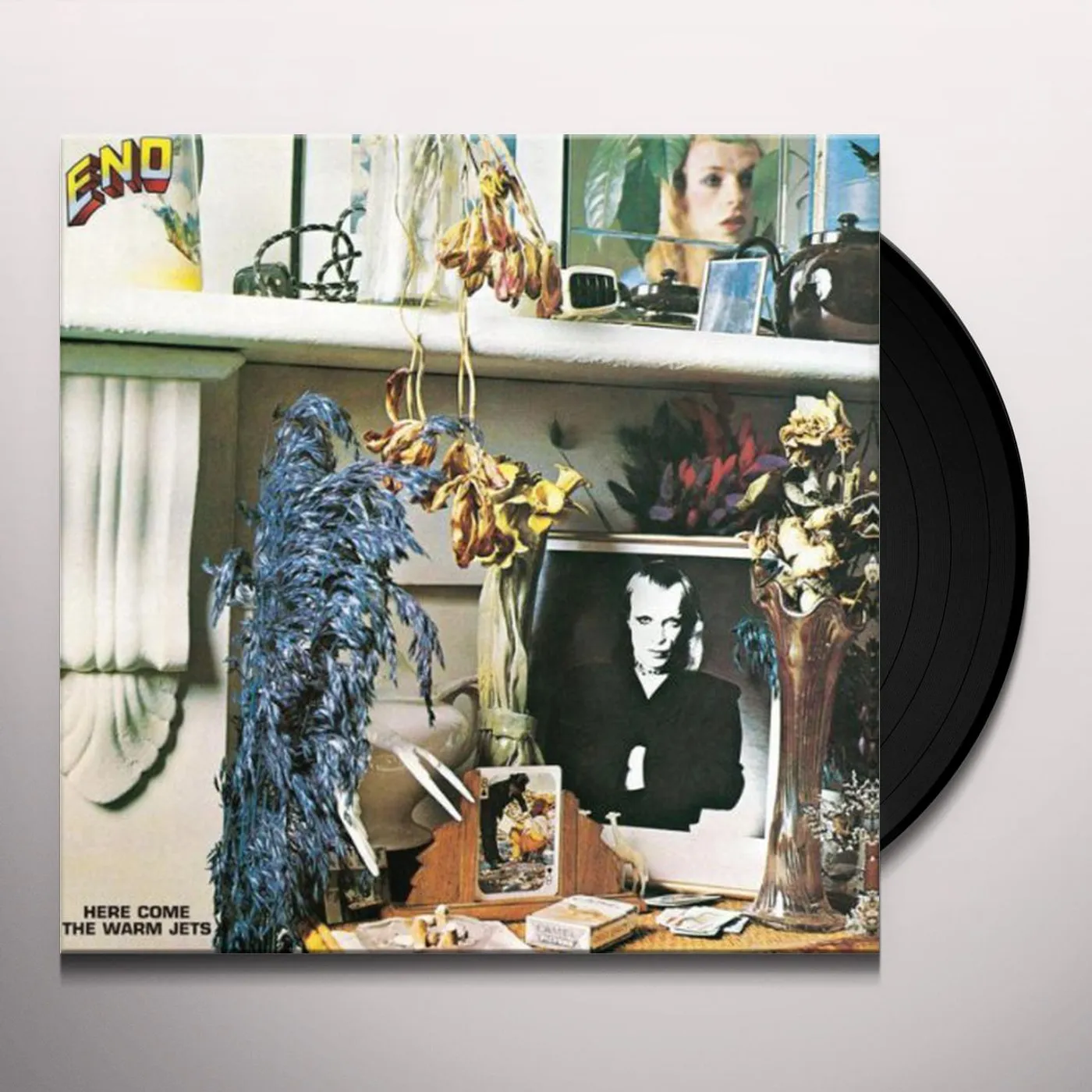Brian Eno Here Come The Warm Jets Vinyl Record