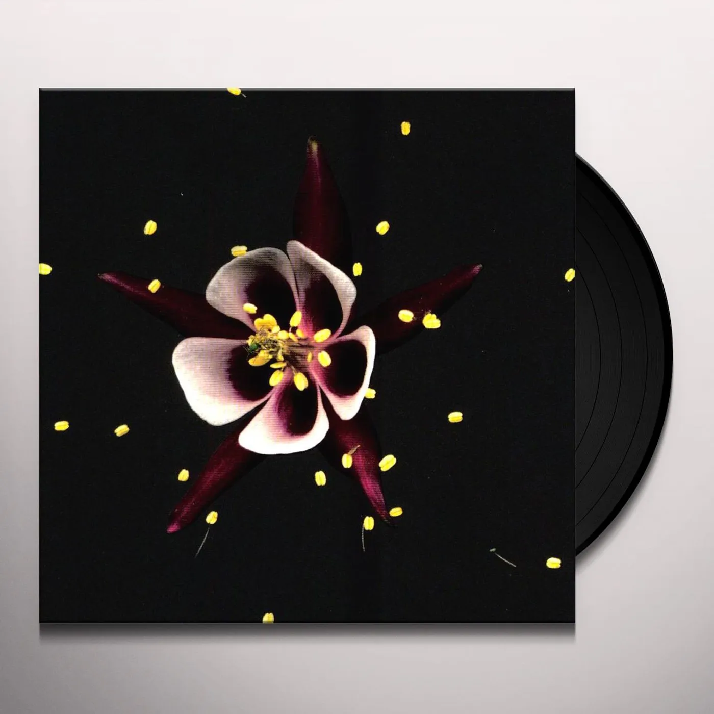 Fridge HAPPINESS - ANNIVERSARY EDITION Vinyl Record