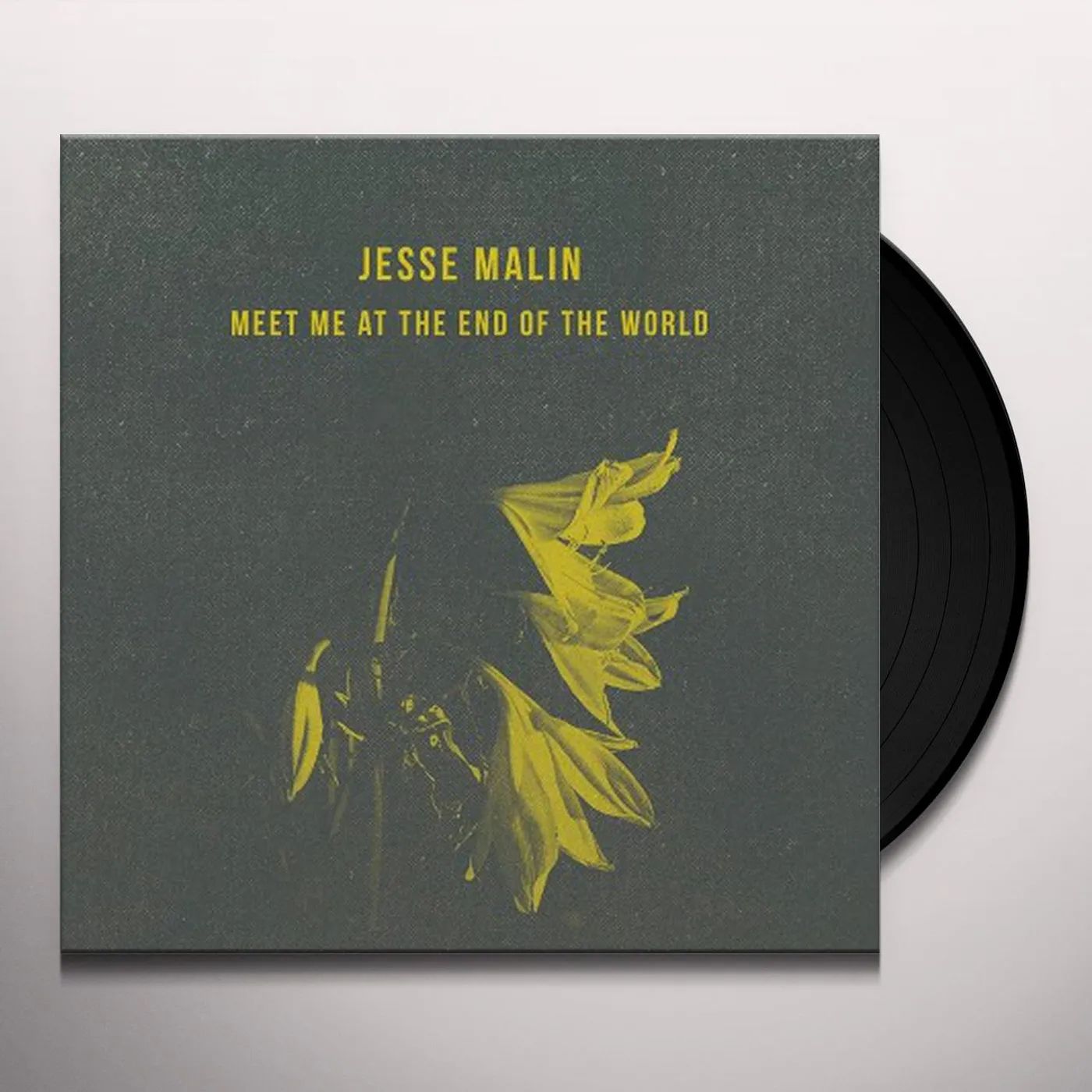 Jesse Malin Meet Me at the End of the World Vinyl Record