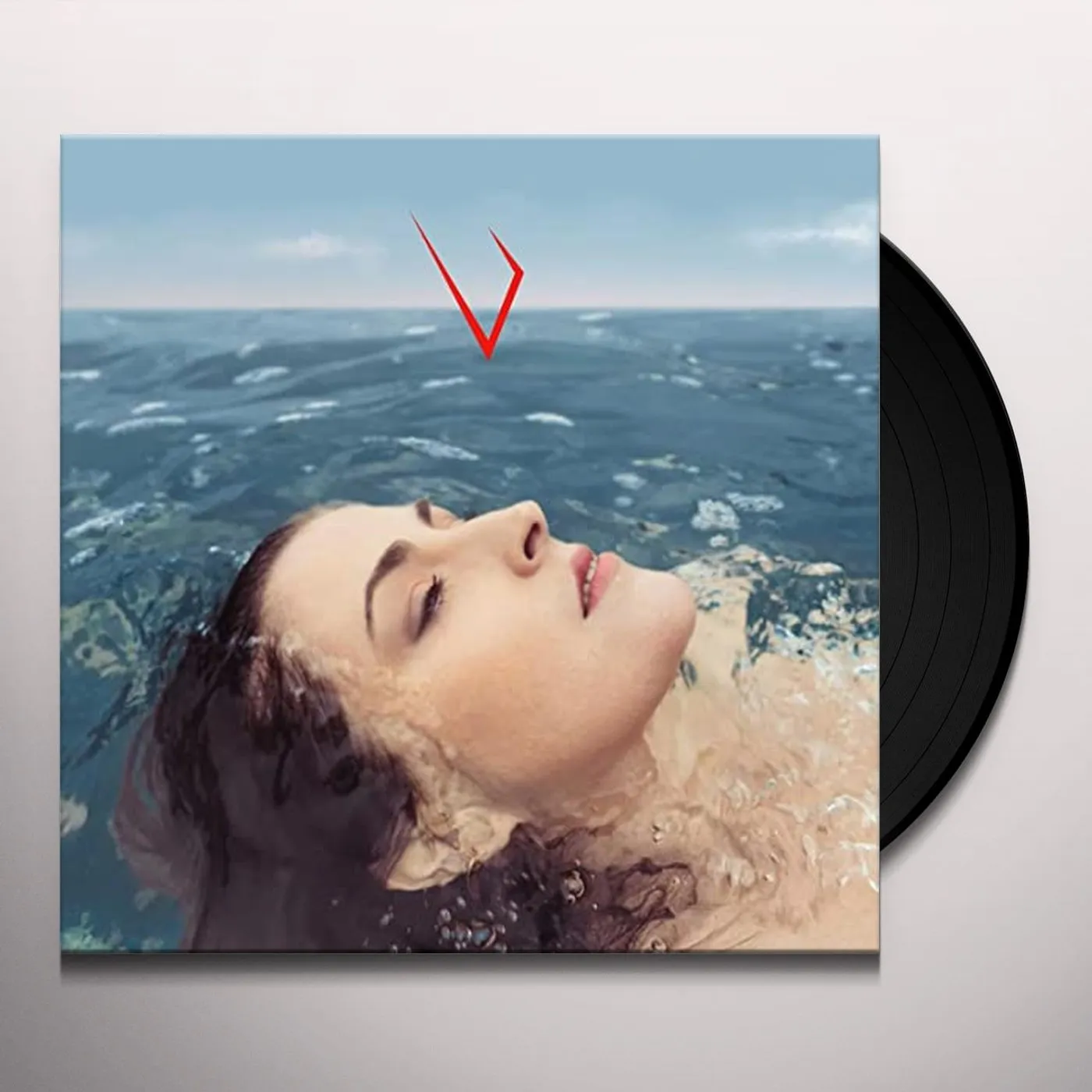 Canine SOURCE Vinyl Record