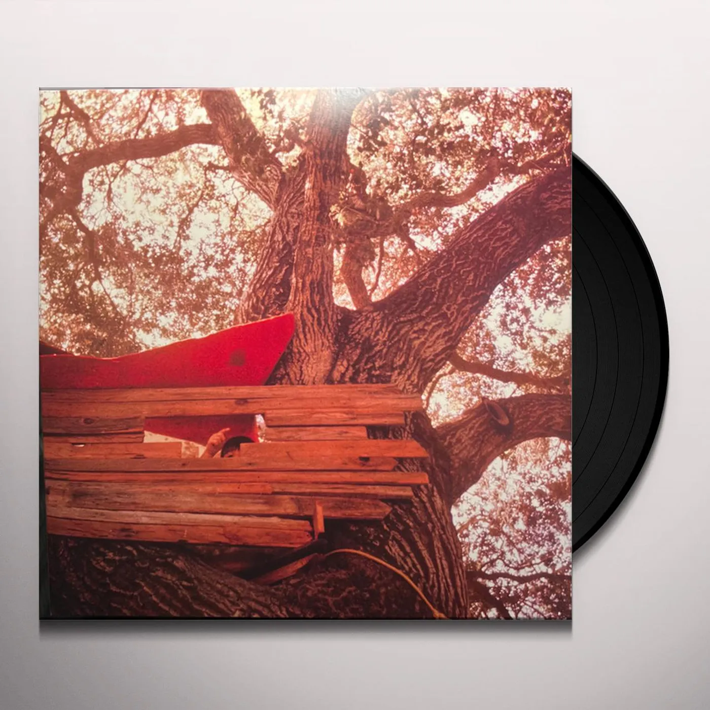 The Backseat Lovers WAITING TO SPILL Vinyl Record