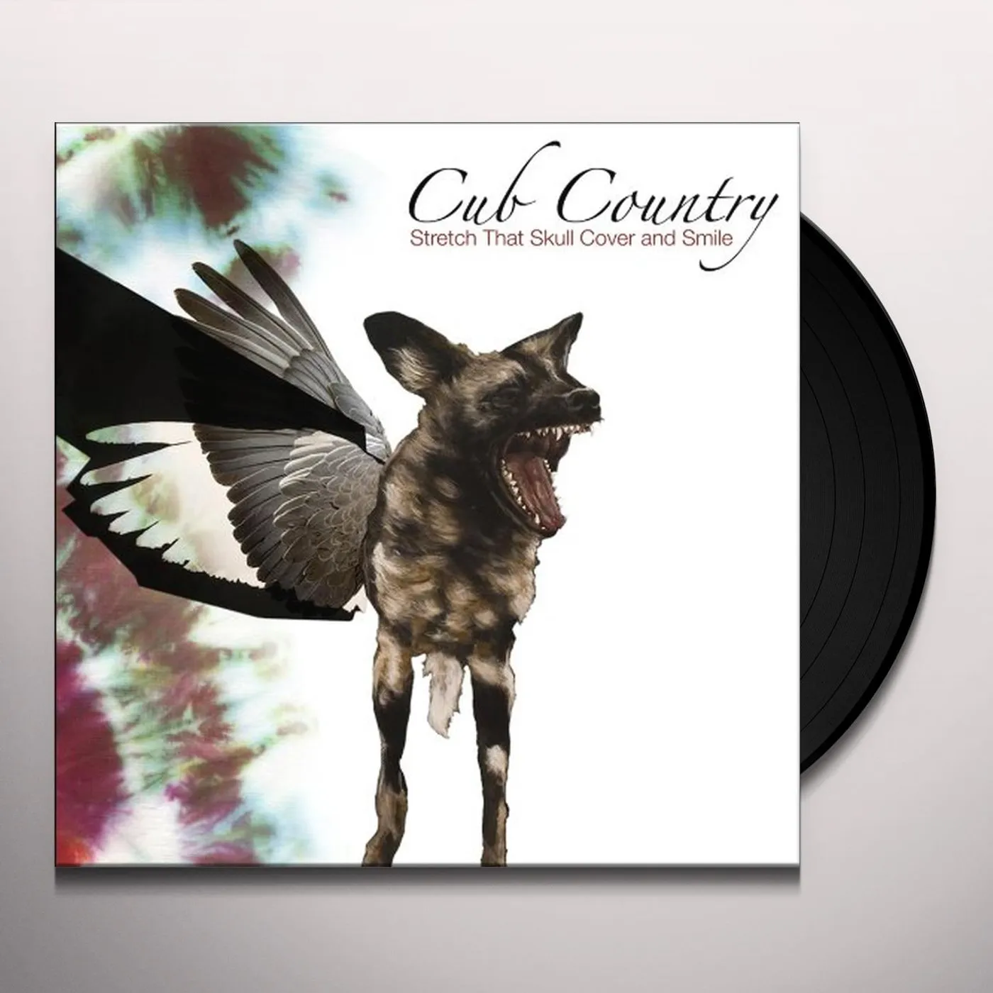 Cub Country Stretch That Skull Cover and Smile Vinyl Record