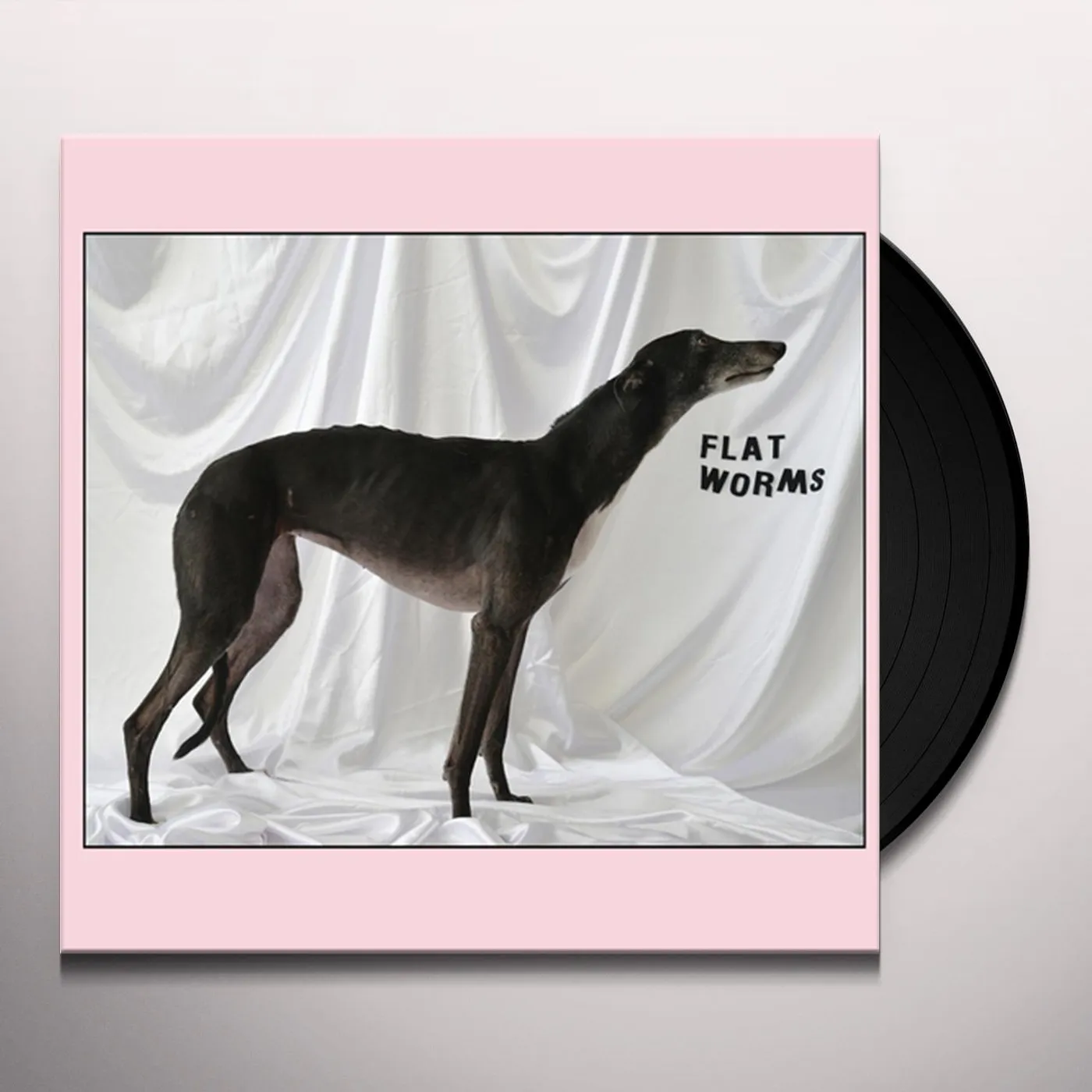 Flat Worms Vinyl Record