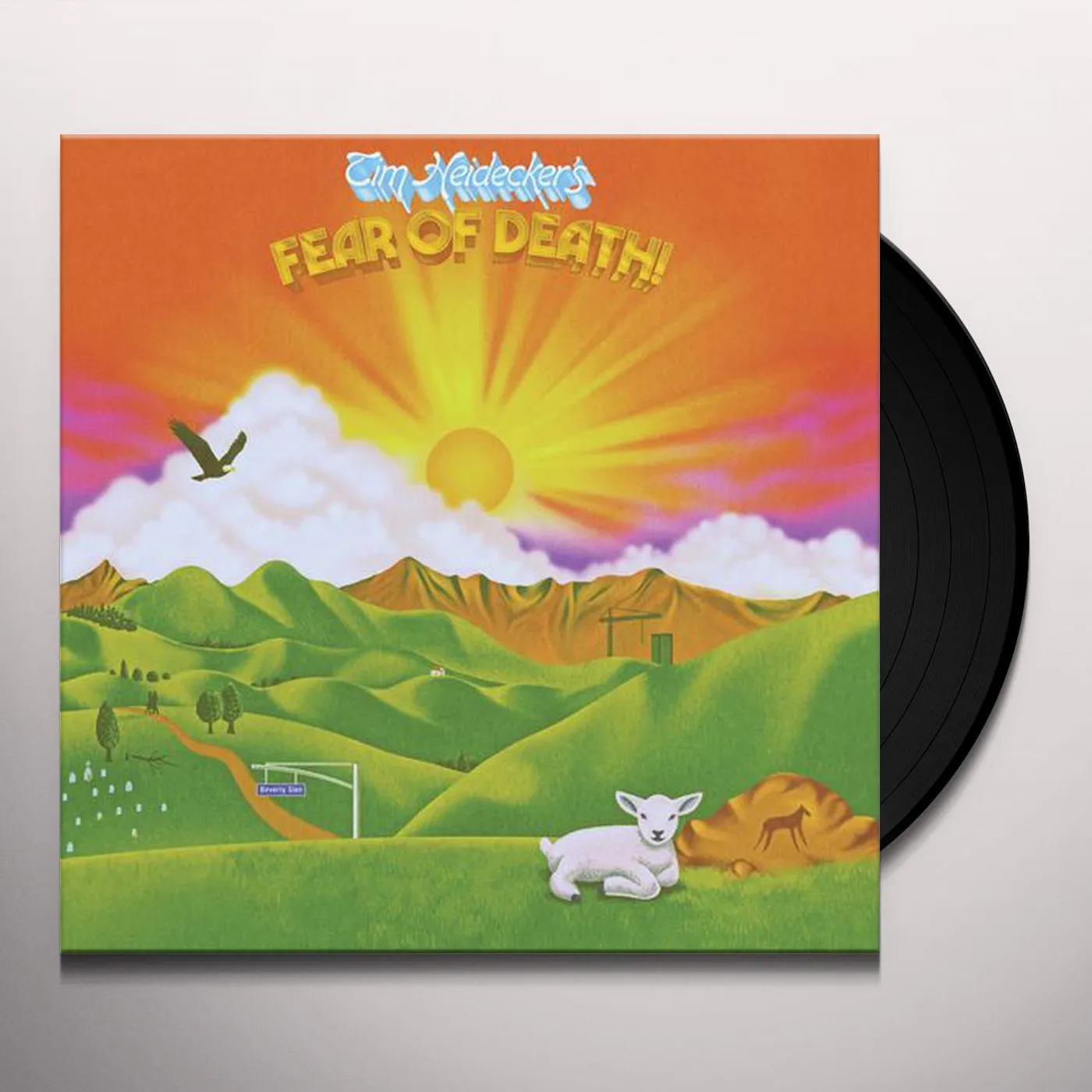 Tim Heidecker Fear Of Death Vinyl Record
