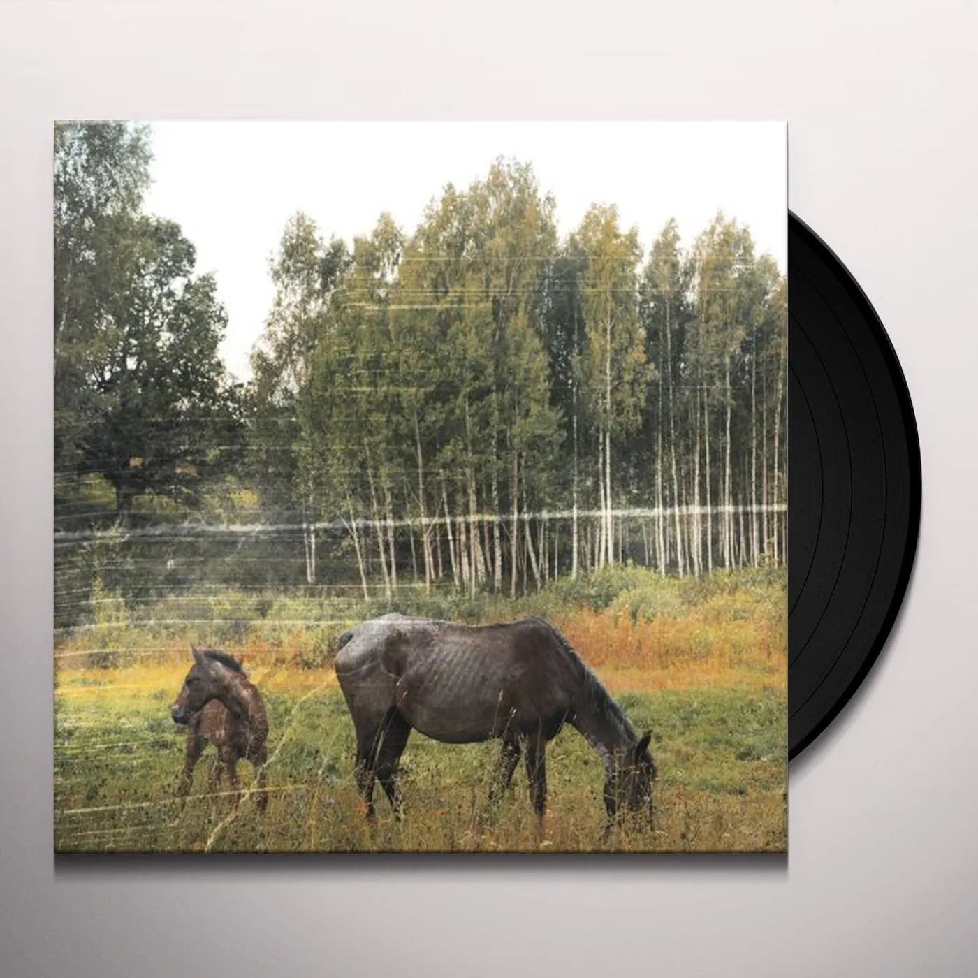 Pianos Become The Teeth Old Pride Vinyl Record