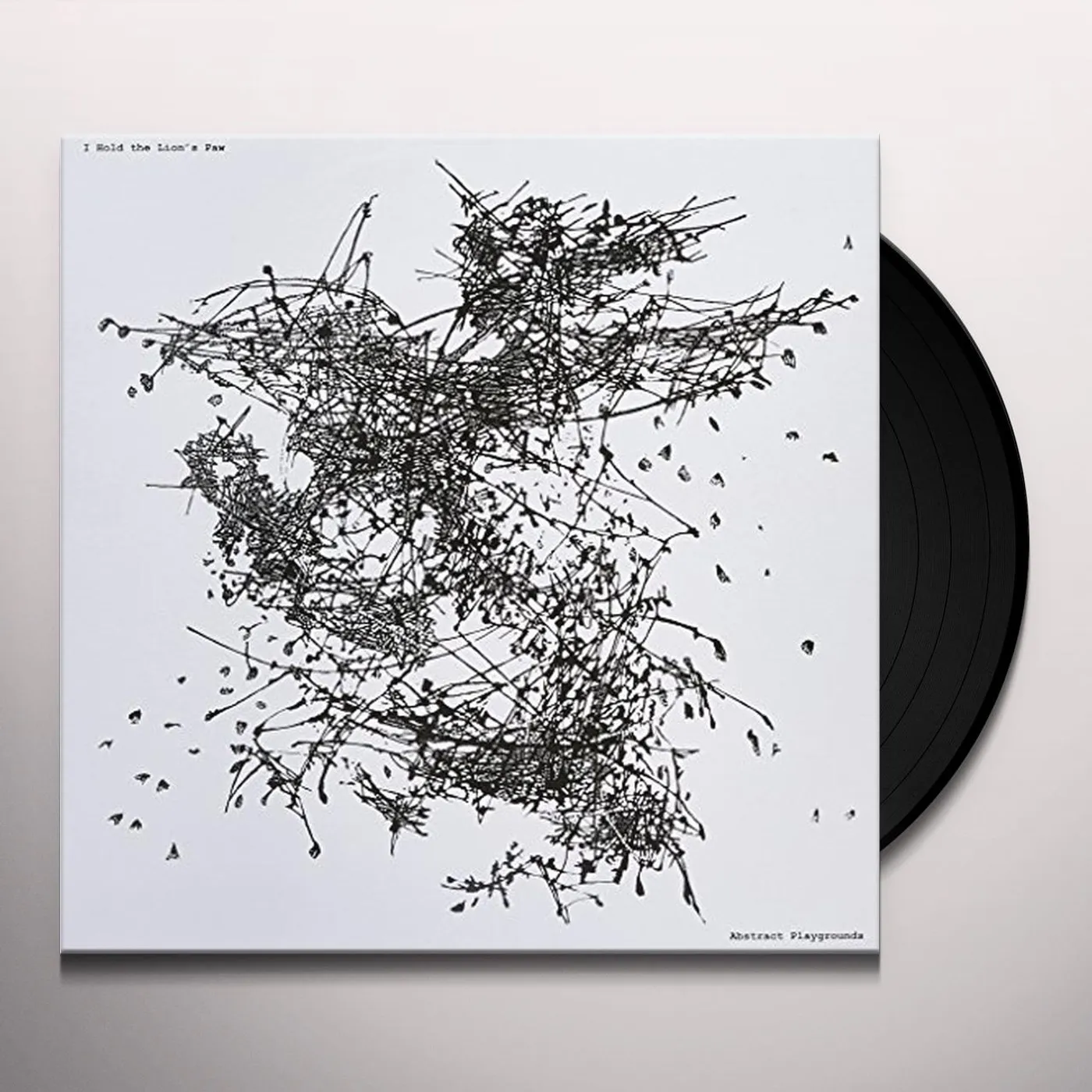 I Hold the Lion's Paw Abstract Playgrounds Vinyl Record