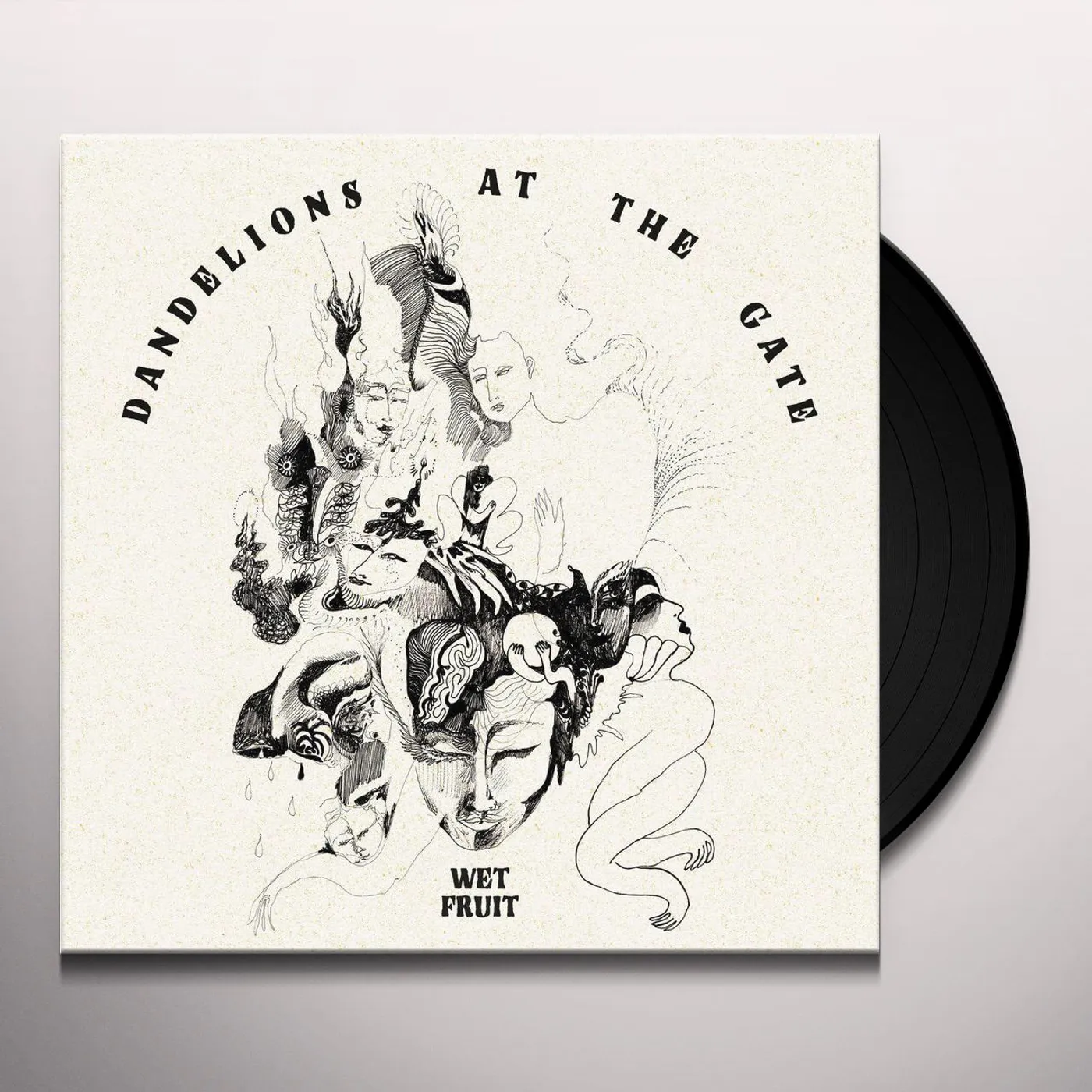 Wet Fruit Dandelions At The Gate Vinyl Record