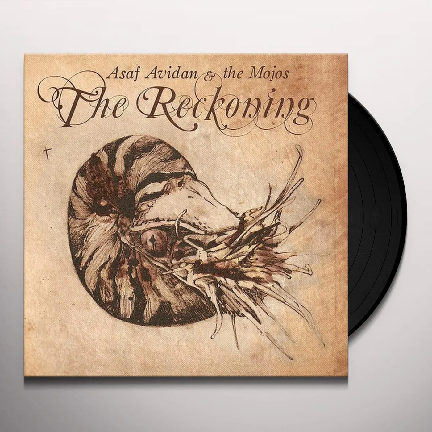 Asaf Avidan RECKONING Vinyl Record