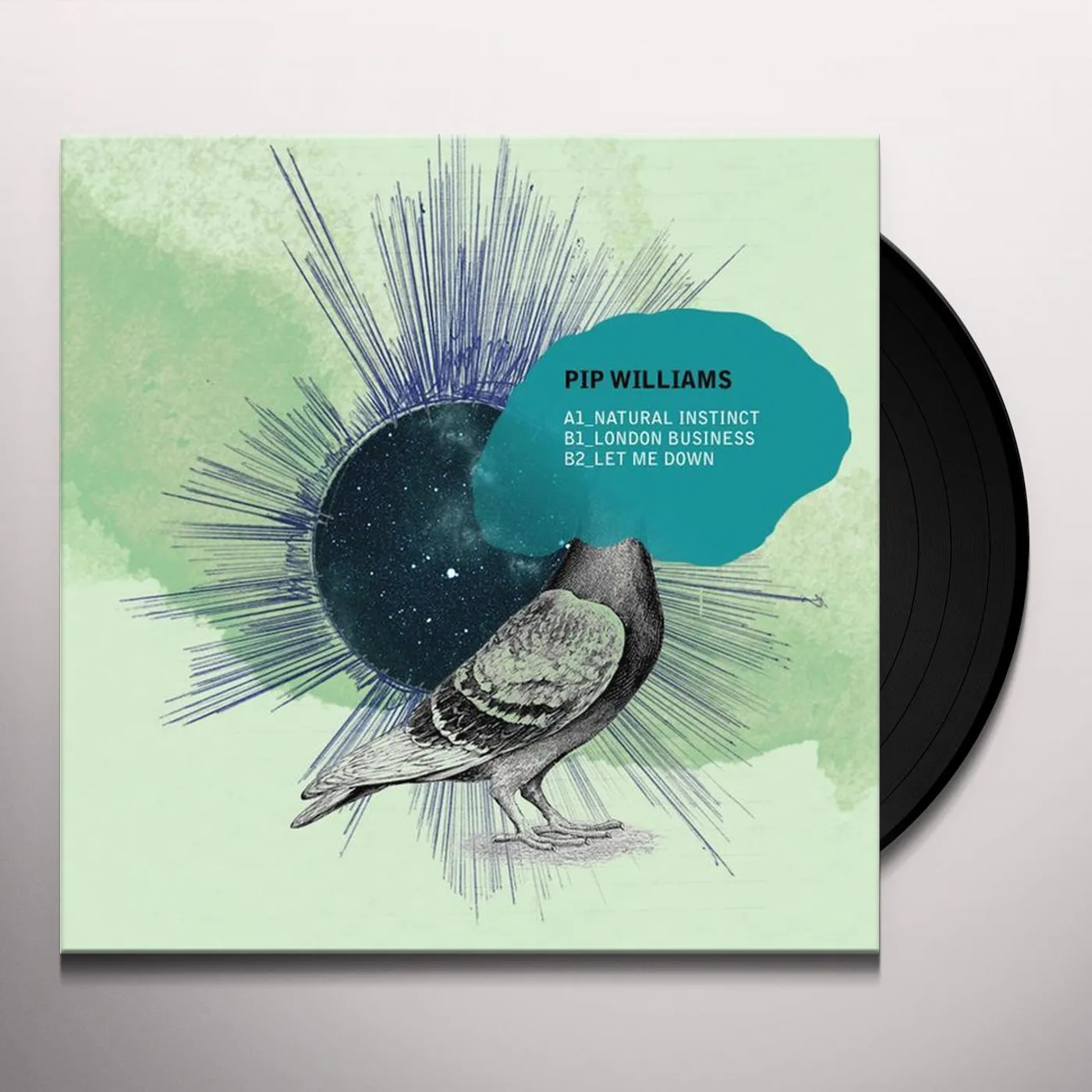 Pip Williams Natural Instinct Vinyl Record