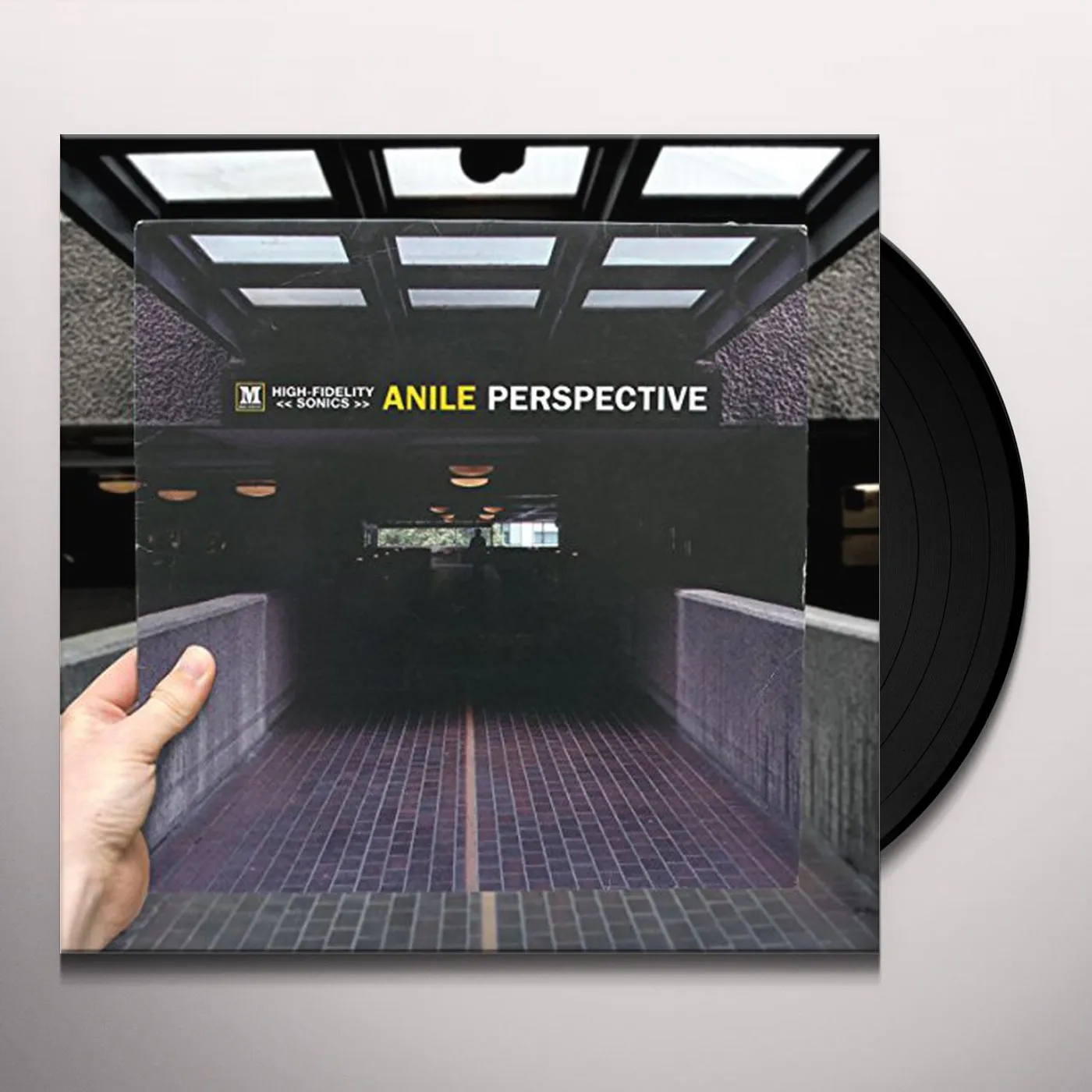 Anile Perspective Vinyl Record