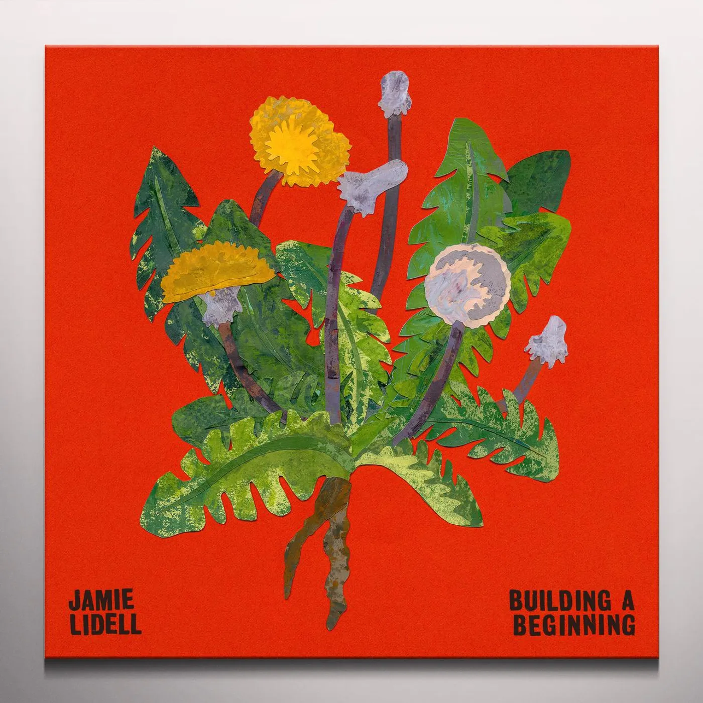 Jamie Lidell Building a Beginning Vinyl Record