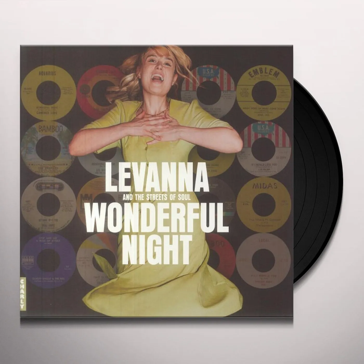 Various Artists  WONDERFUL NIGHT Vinyl Record