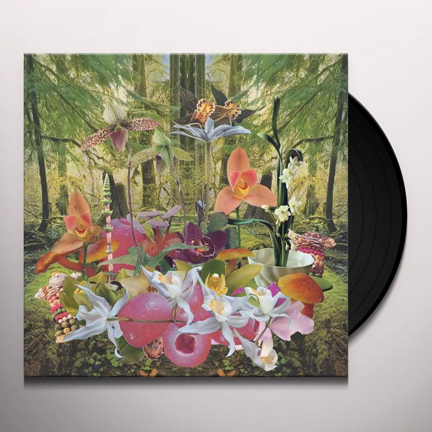 Monster Rally RETURN TO PARADISE Vinyl Record - Digital Download Included